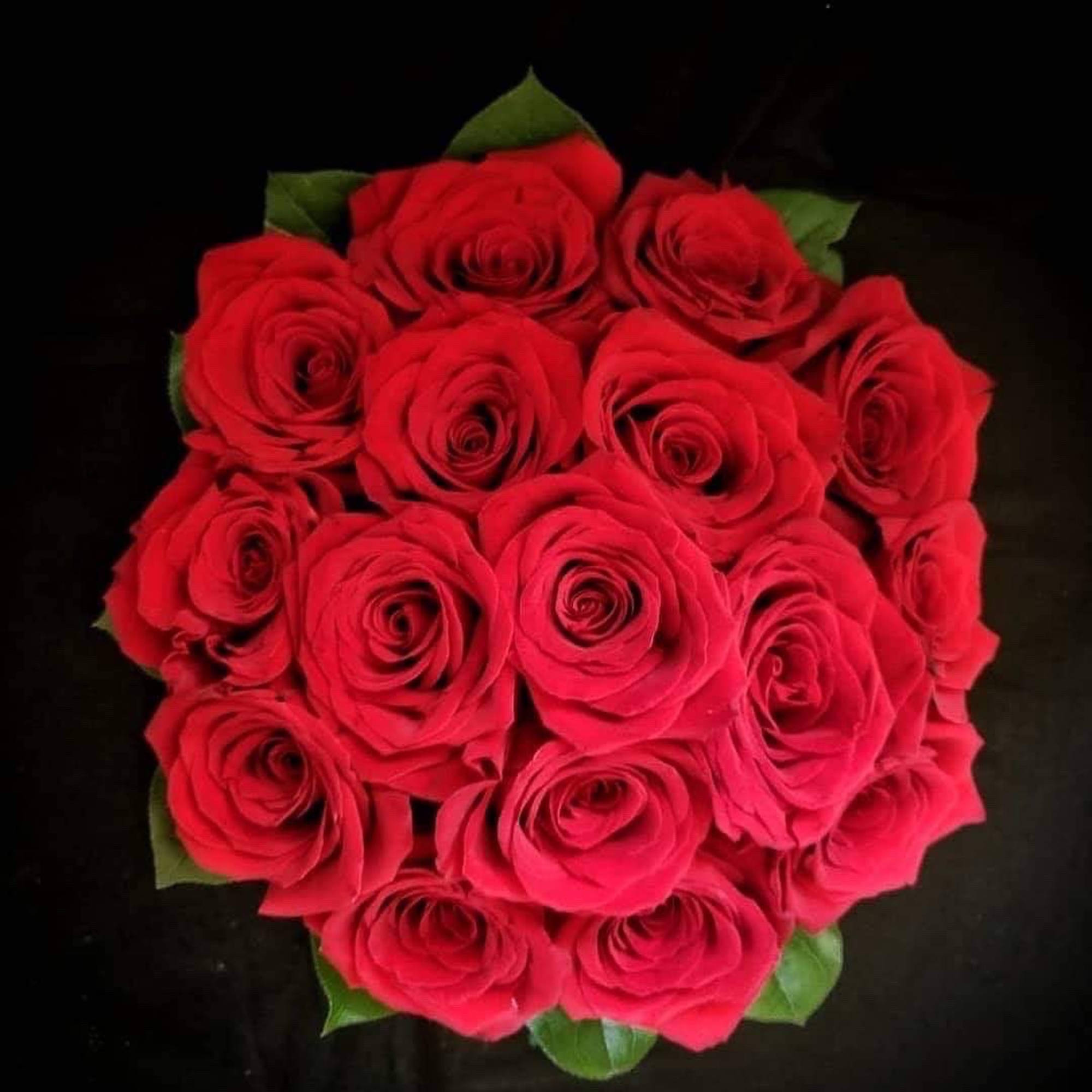 One dozen luxury red roses in a circular box. 