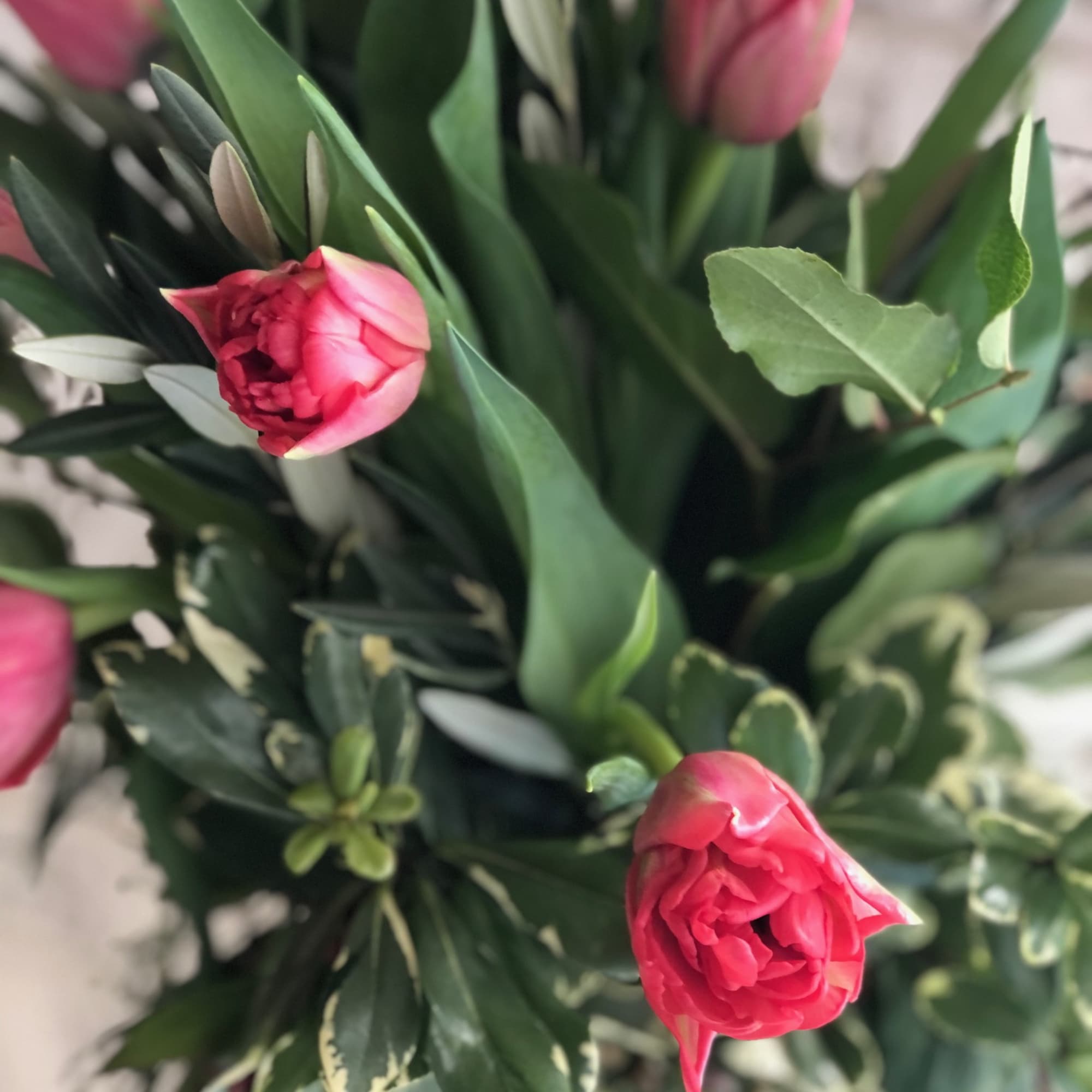 Unique Tulip design in a tall cylinder vase filled with curly willow