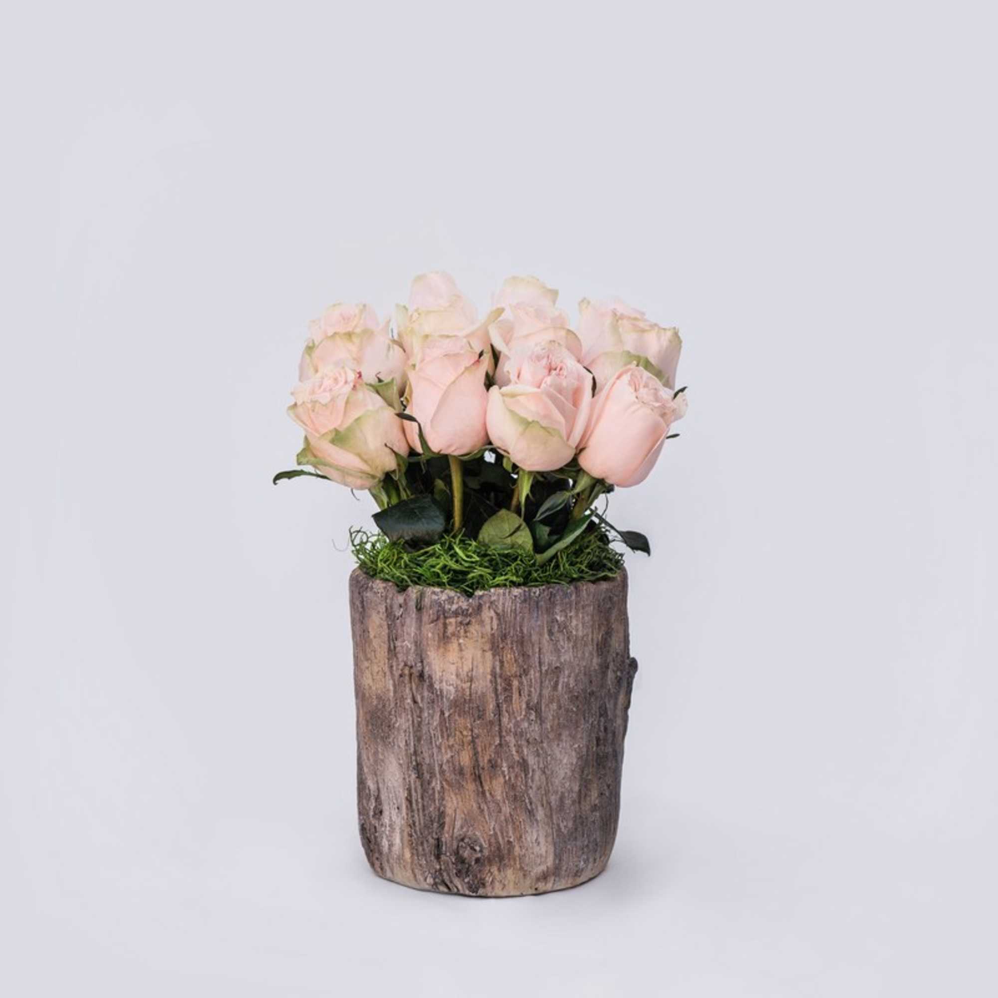Peach garden roses 
Wood stump container  