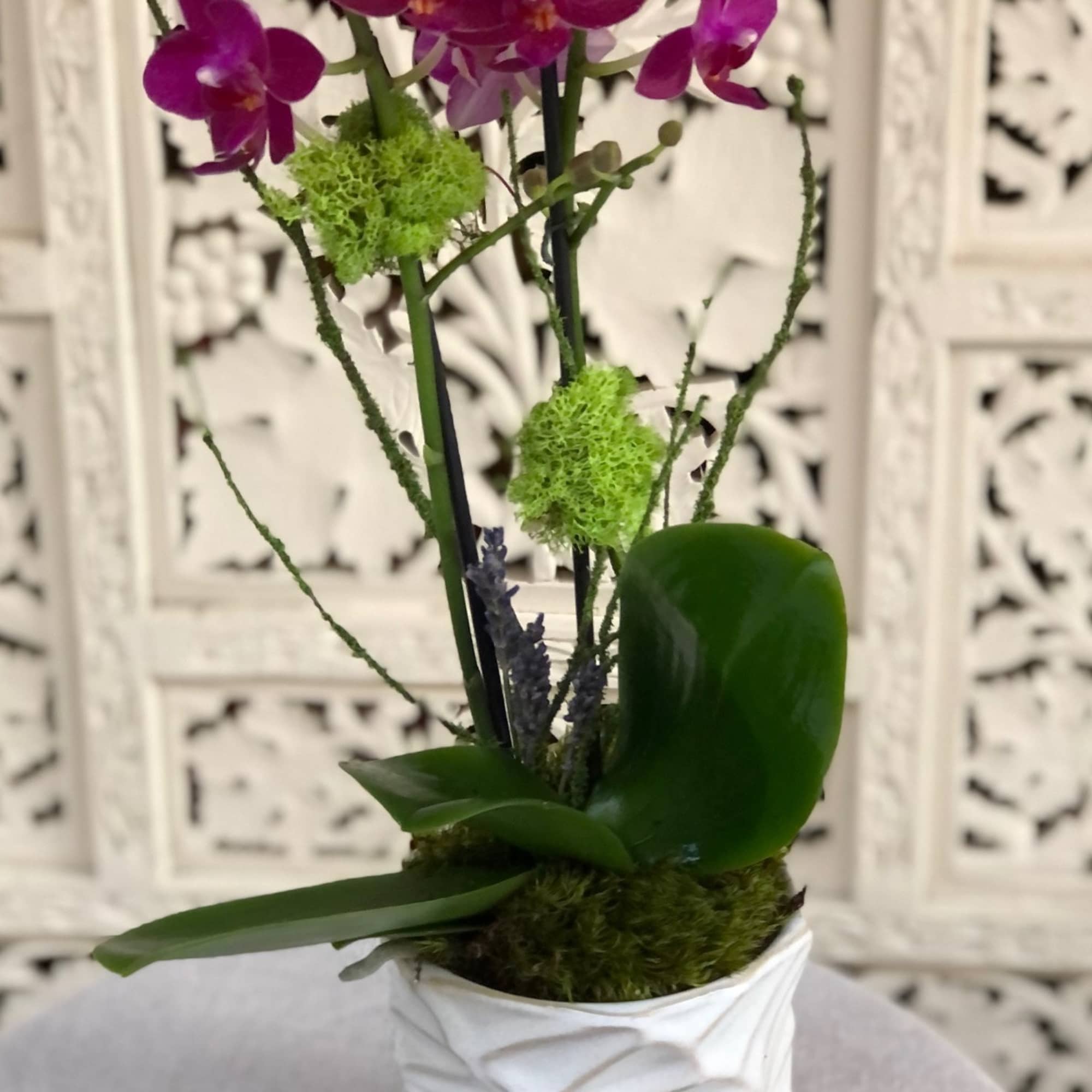 Sweet yet vibrant miniature, fuchsia phalaenopsis orchid plant presented in an organic