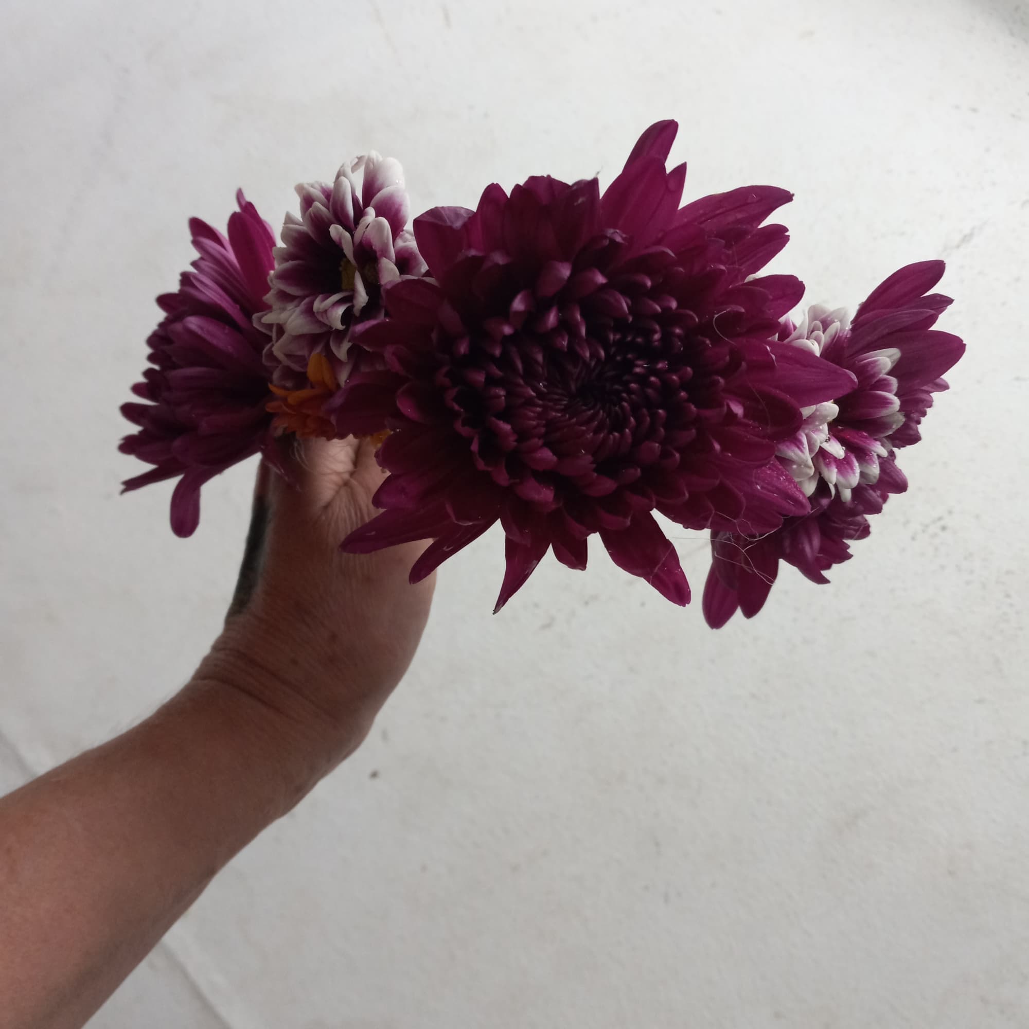 Floral crown makes bride or flower girl look royal by fare.