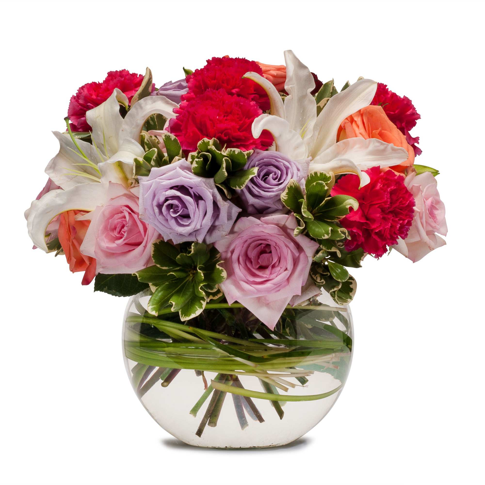 Potpourri of Roses - TMF13-269 in Glendale, AZ | The Tulip