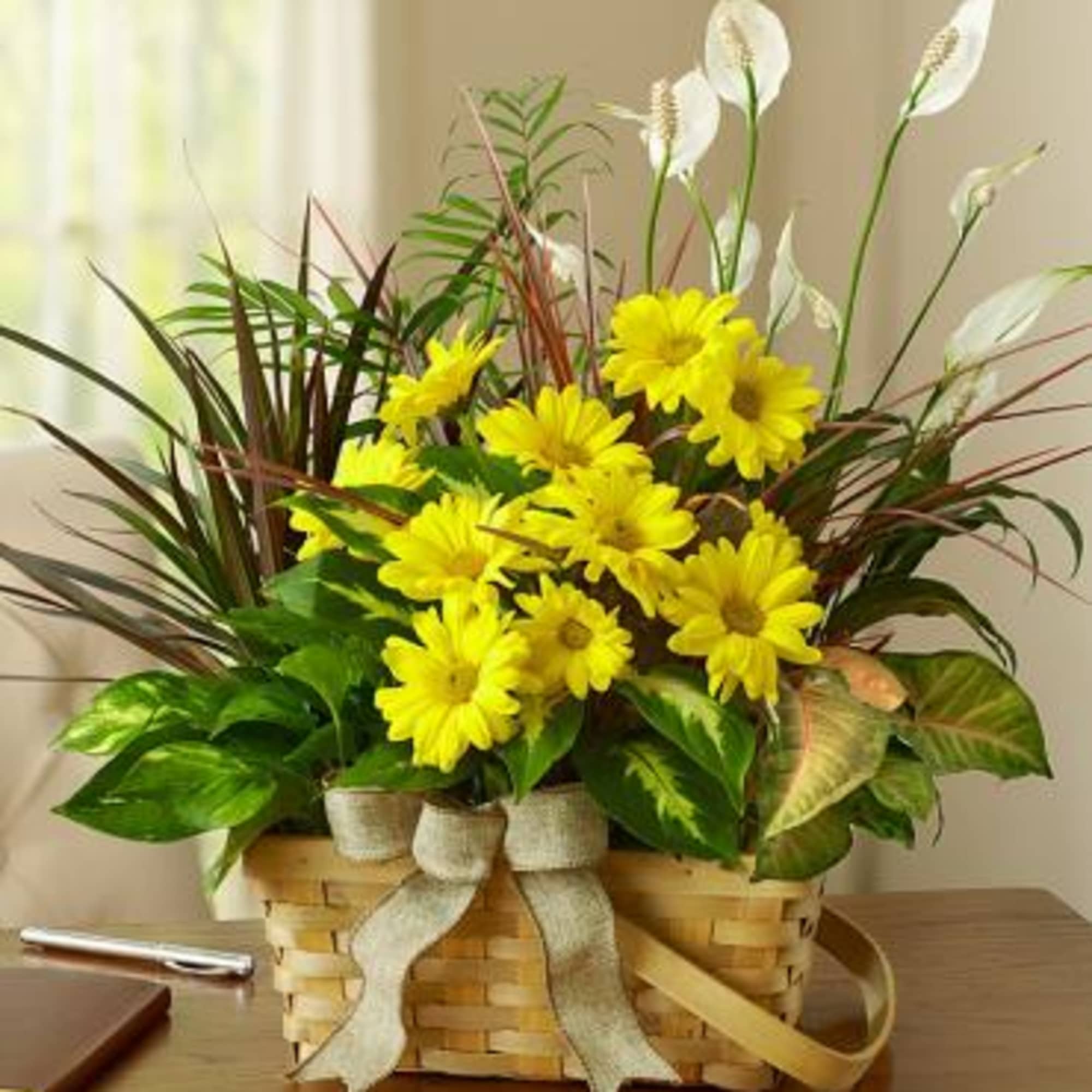 Our dish garden with fresh cut flowers is an elegant gift that 
Our dish garden with fresh cut flowers is an elegant gift that