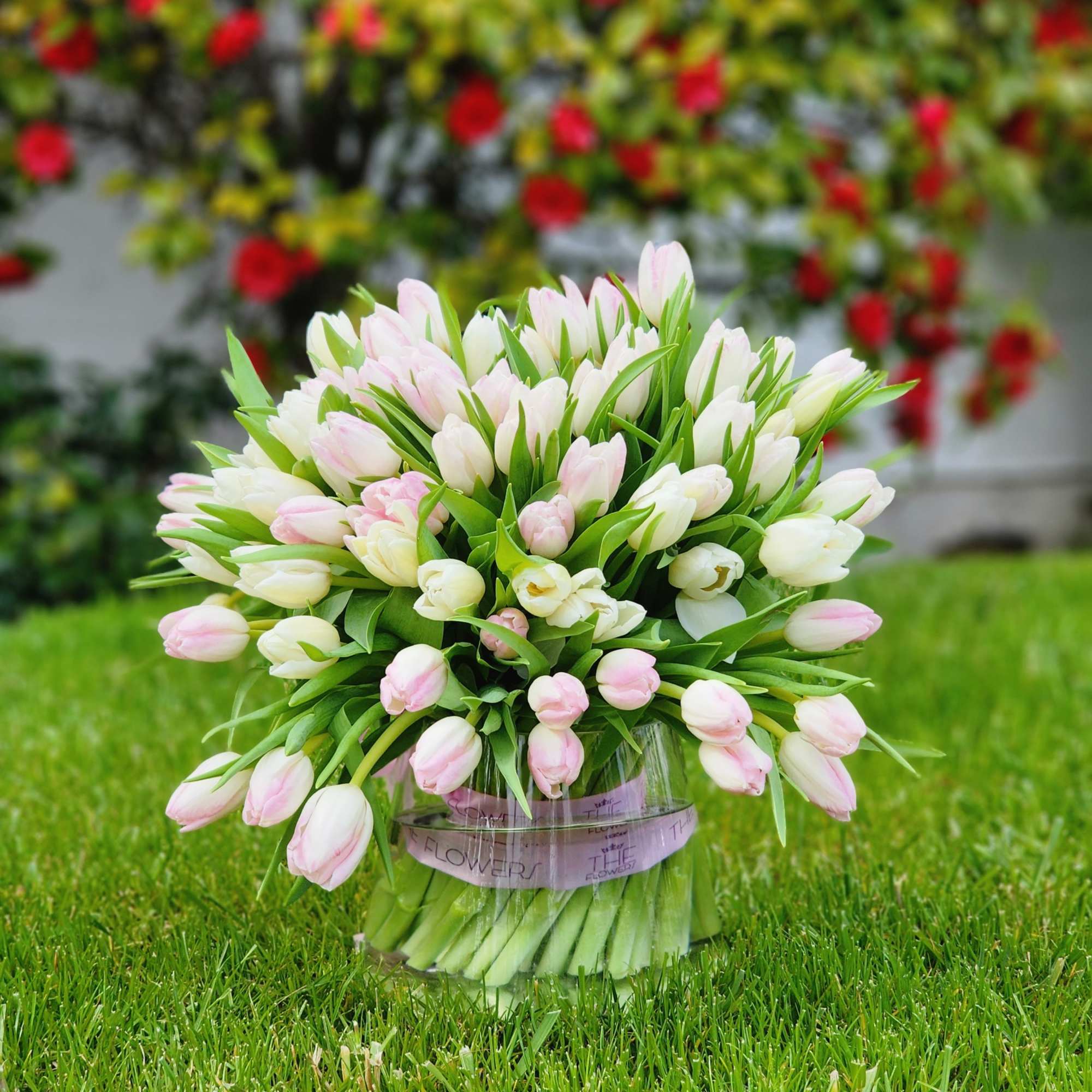 Tulips are one of the most romantic flowers, as they look very