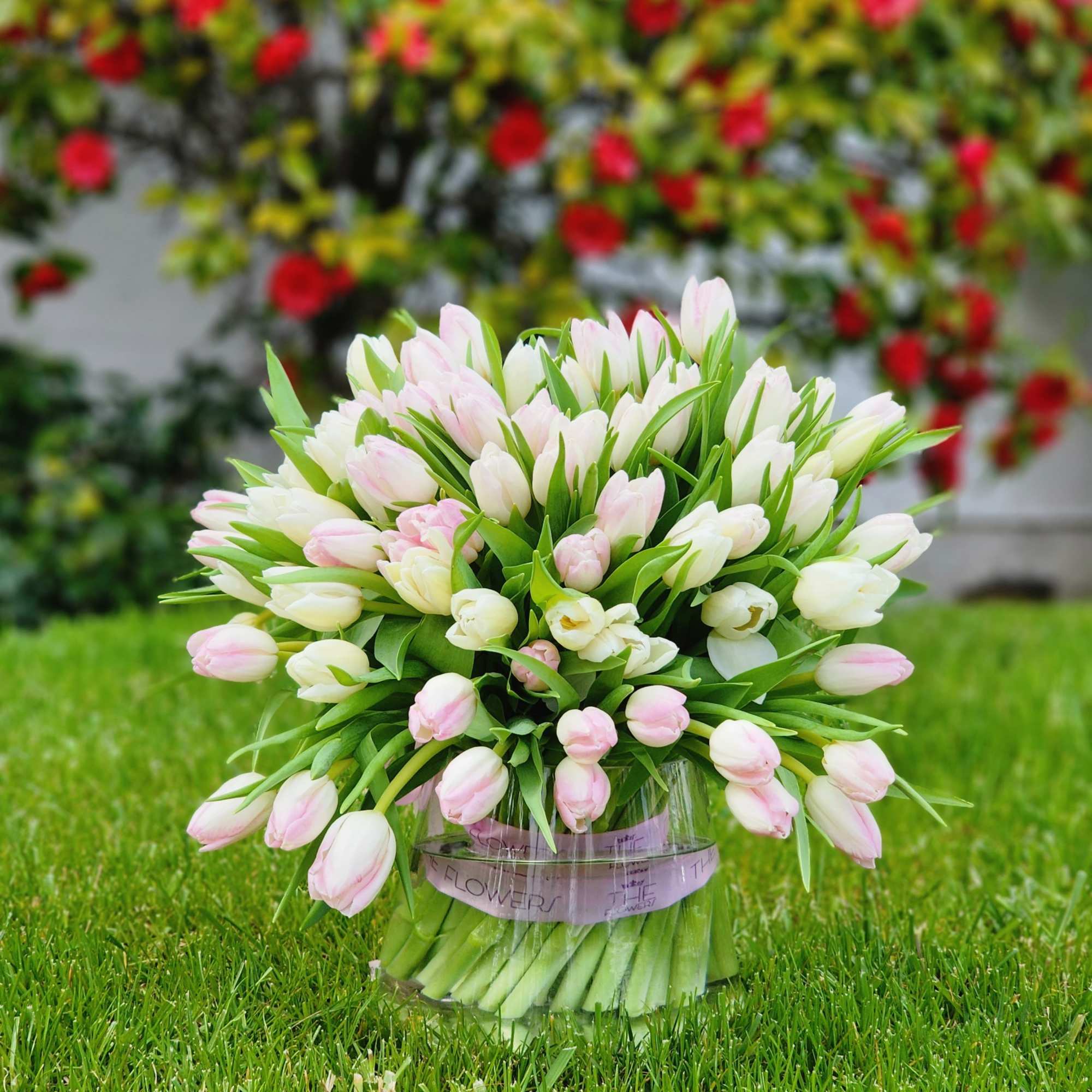 Tulips are one of the most romantic flowers, as they look very