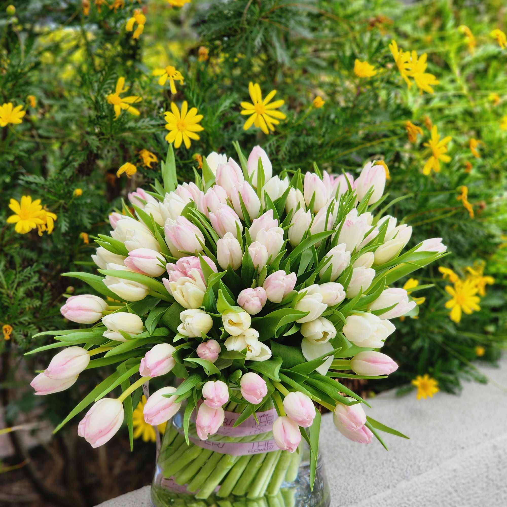 Tulips are one of the most romantic flowers, as they look very