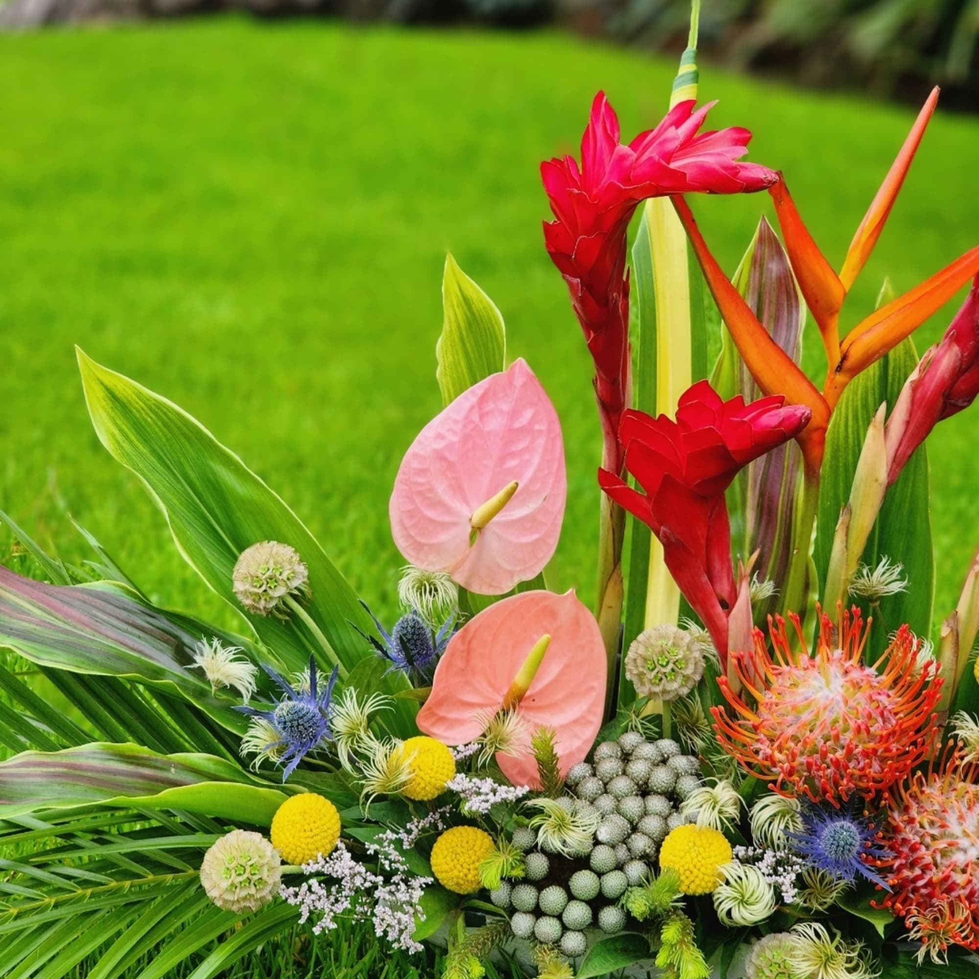 If you were planning to buy a bouquet of exotic flowers &mdash;