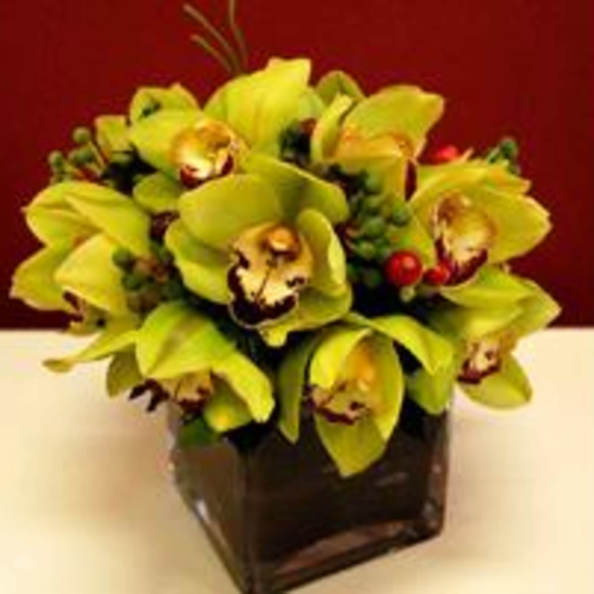 Simple long lasting Cymbidium orchids. Simple long lasting Cymbidium orchids.