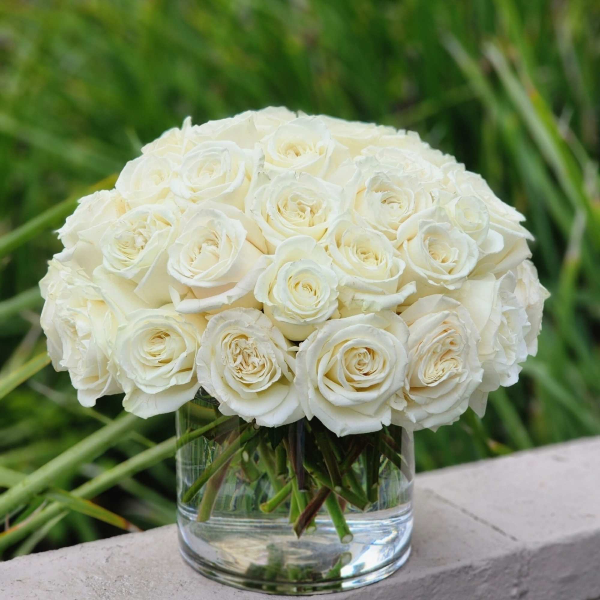 White roses symbolize harmony and purity, sympathy, devotion. They symbolize purity, love