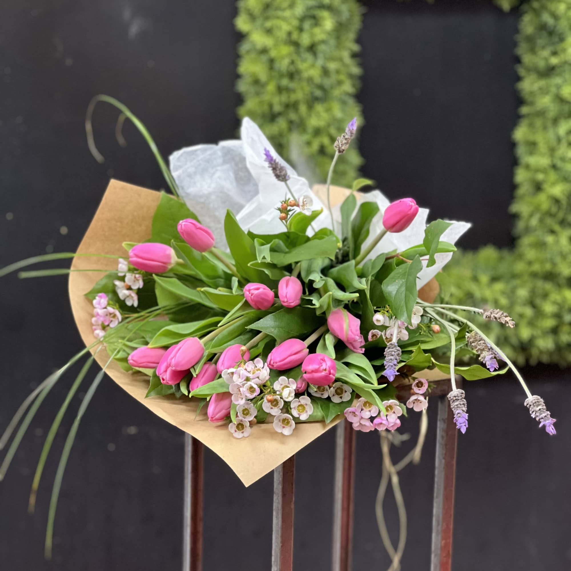 Dozen of seasonal tulips wrapped with eucalyptus and other greens tide with