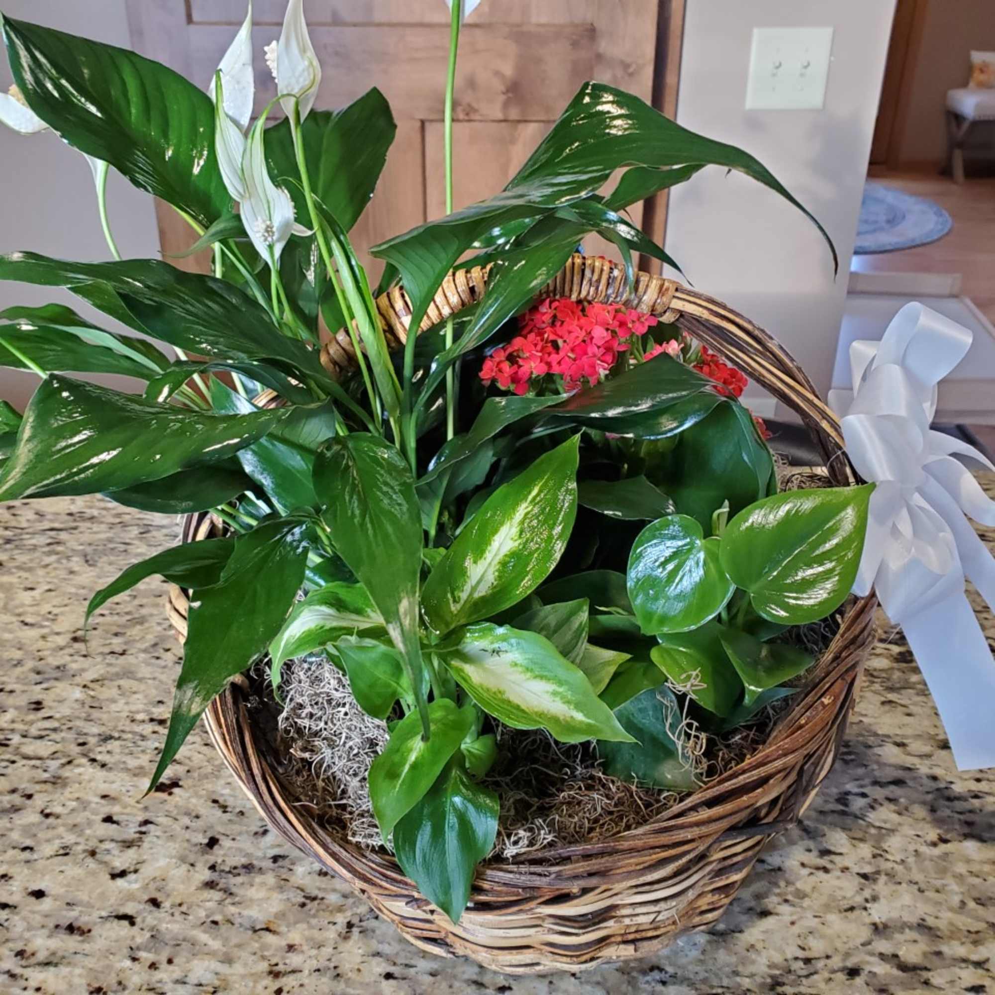 Two green plants and two flowering plant. this can be made with