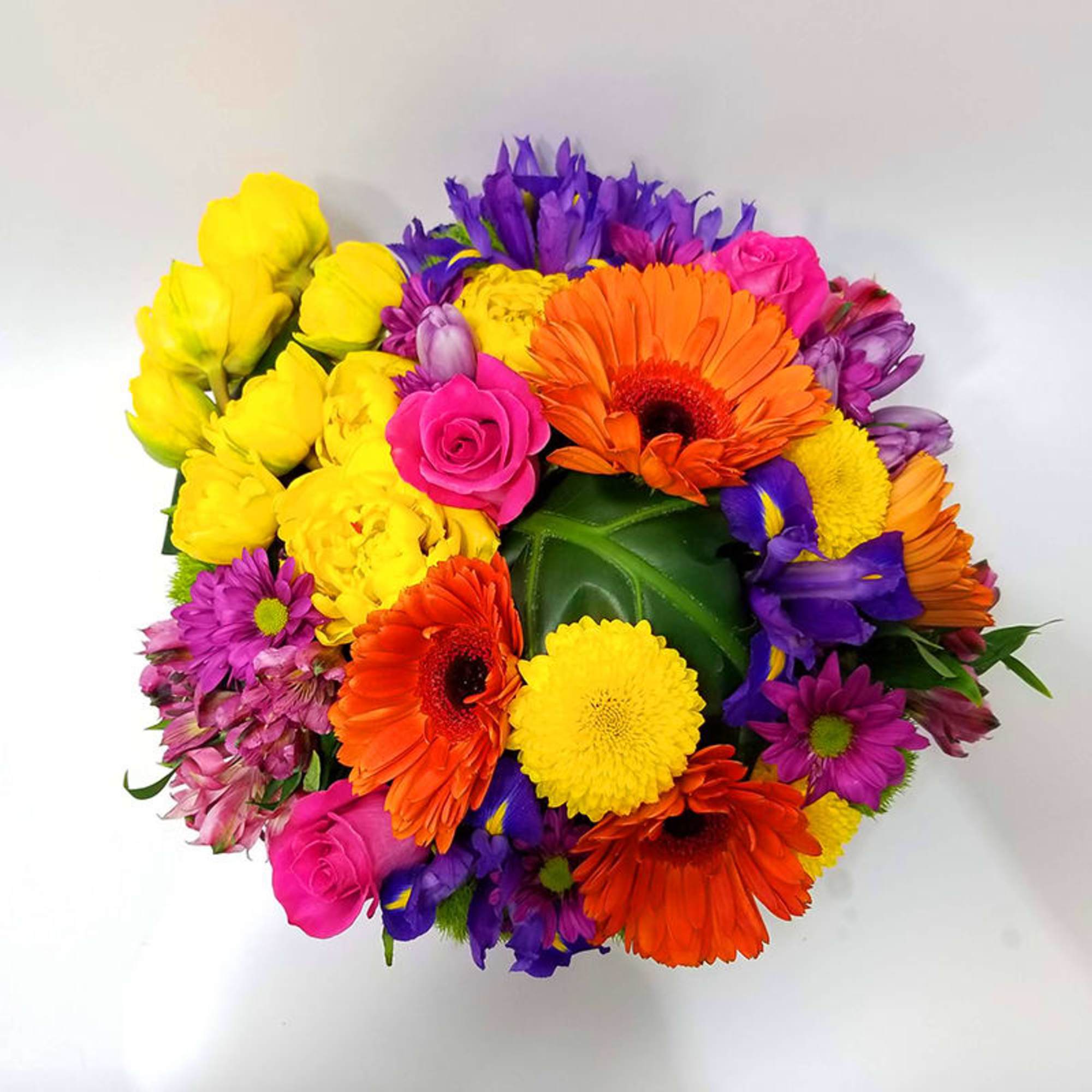 Spring Spirit for Her. Arrangement of colorful Gerber&#039;s, roses, bottoms, and other
