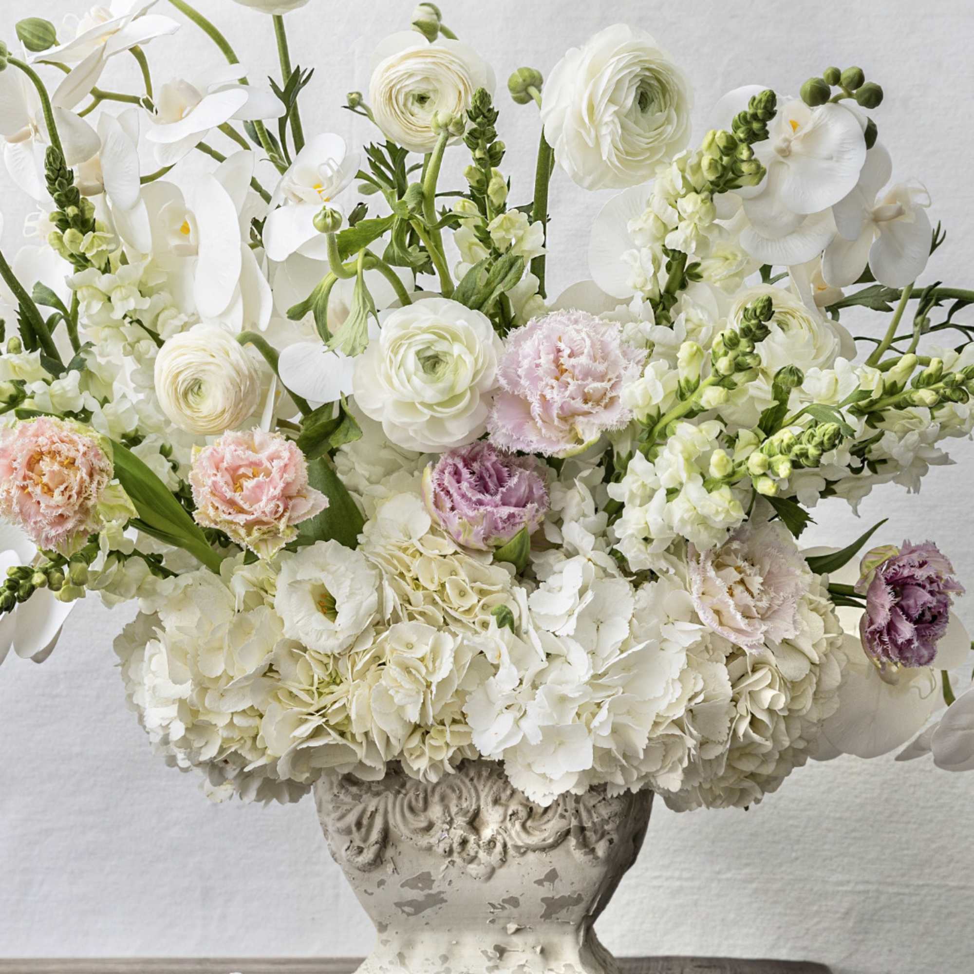 The most gorgeous and lovable flowers by most flower lovers: Orchids, Ranunculus