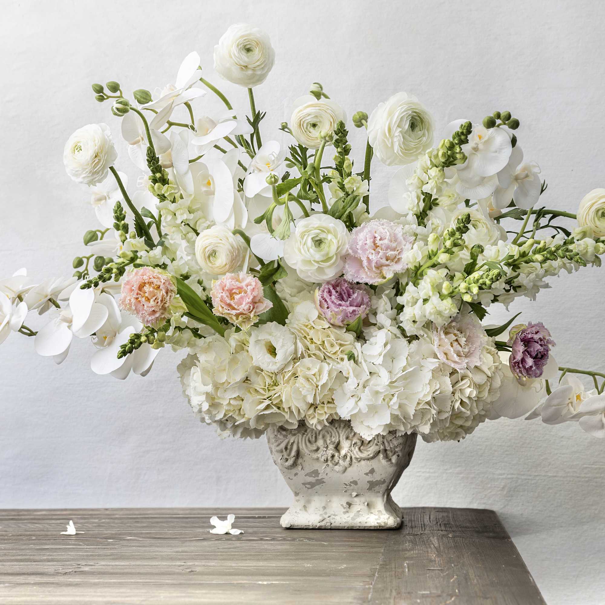 The most gorgeous and lovable flowers by most flower lovers: Orchids, Ranunculus