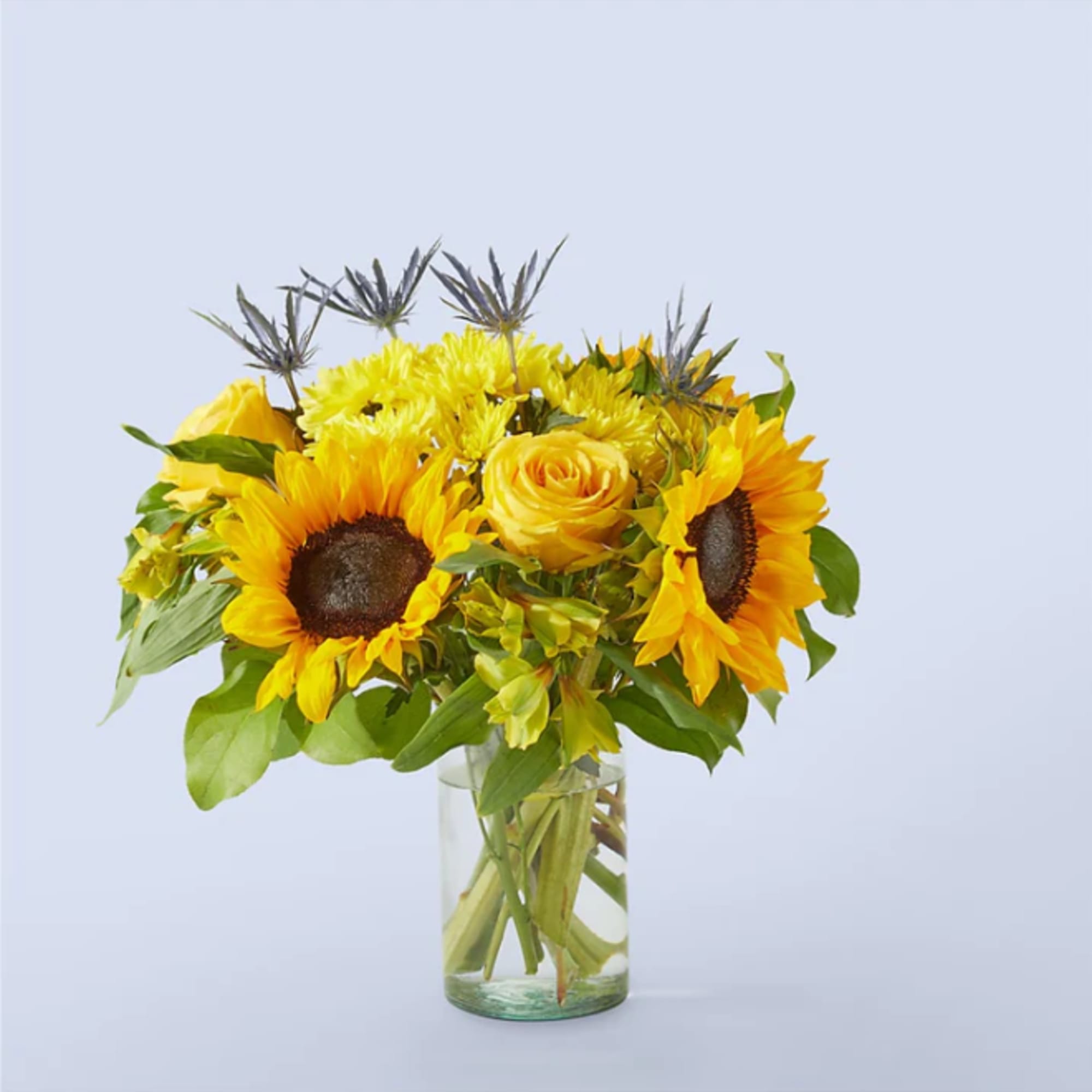 Feel like someone&#039;s cheering you on with bright sunflowers, roses, and alstroemeria.

Please