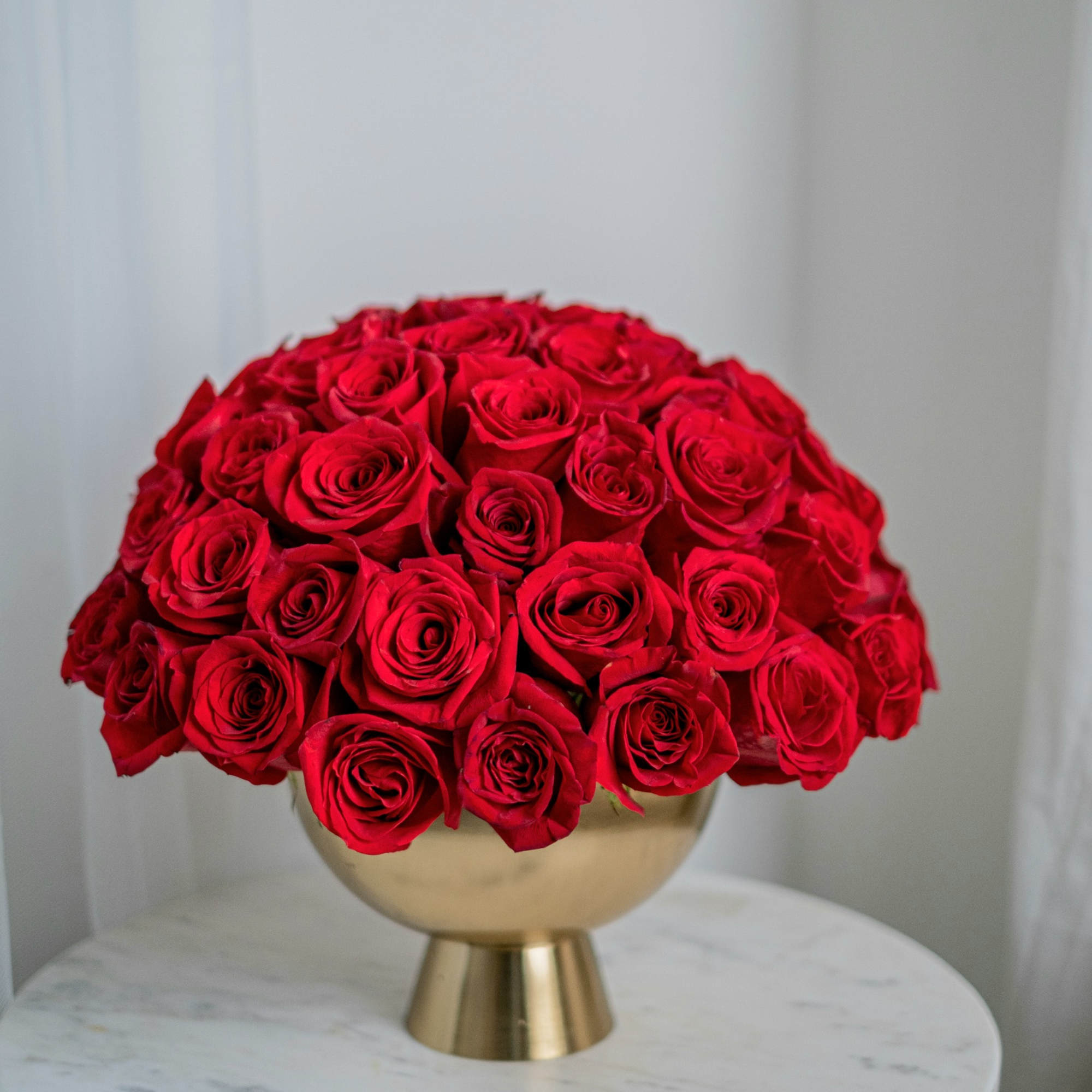 Red roses are recognized queens of the flower world. Passionate and sensual