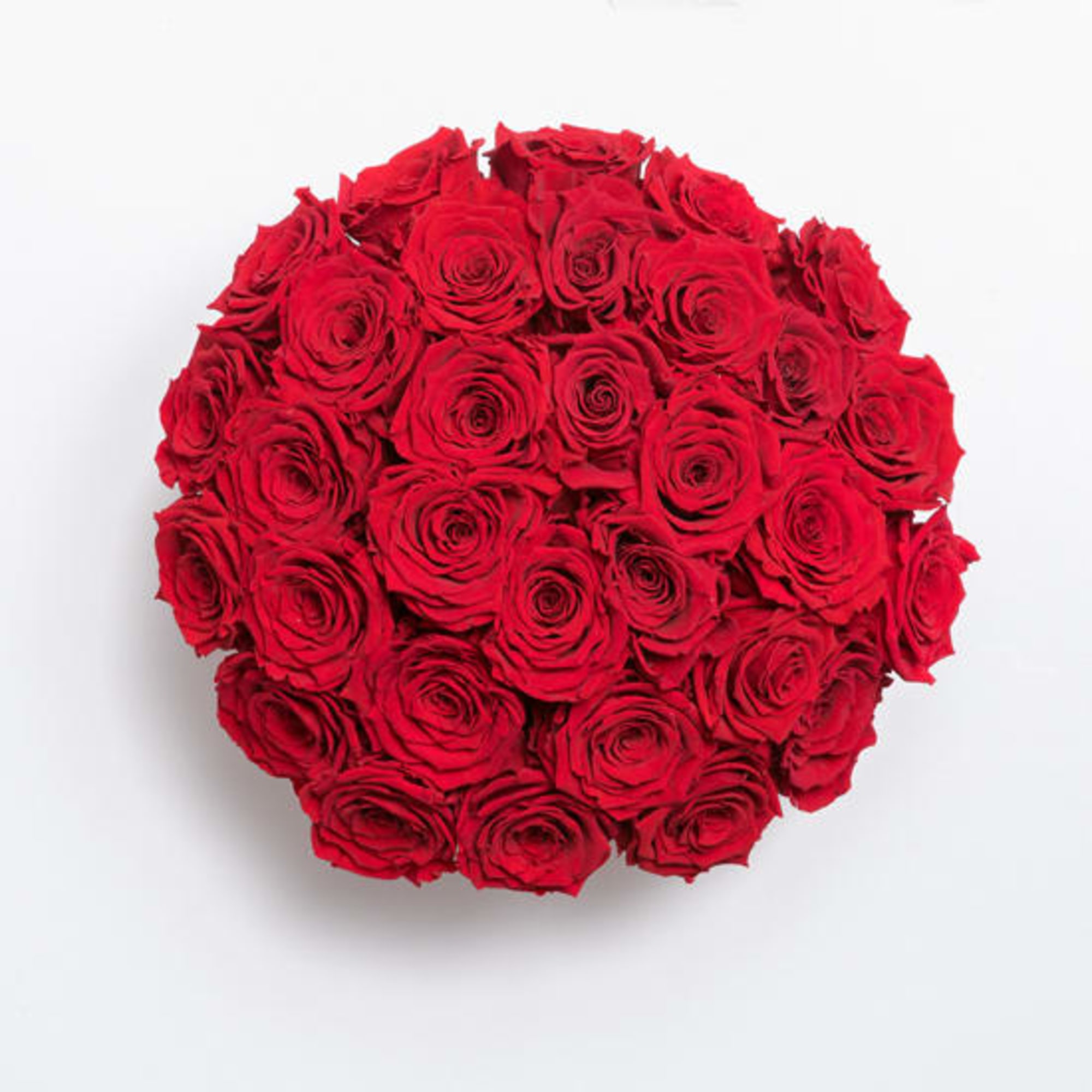 Our classic preserved rose composition includes the most gorgeous preserved roses, hand-crafted