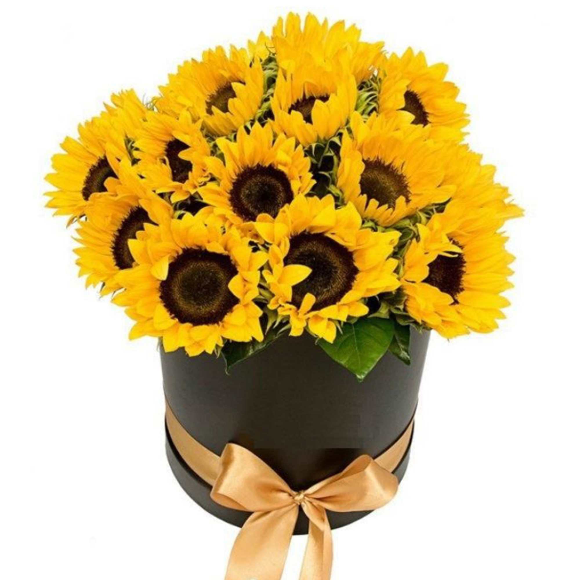 Be my sunshine - 10 stems of sunflowers in a pretty black