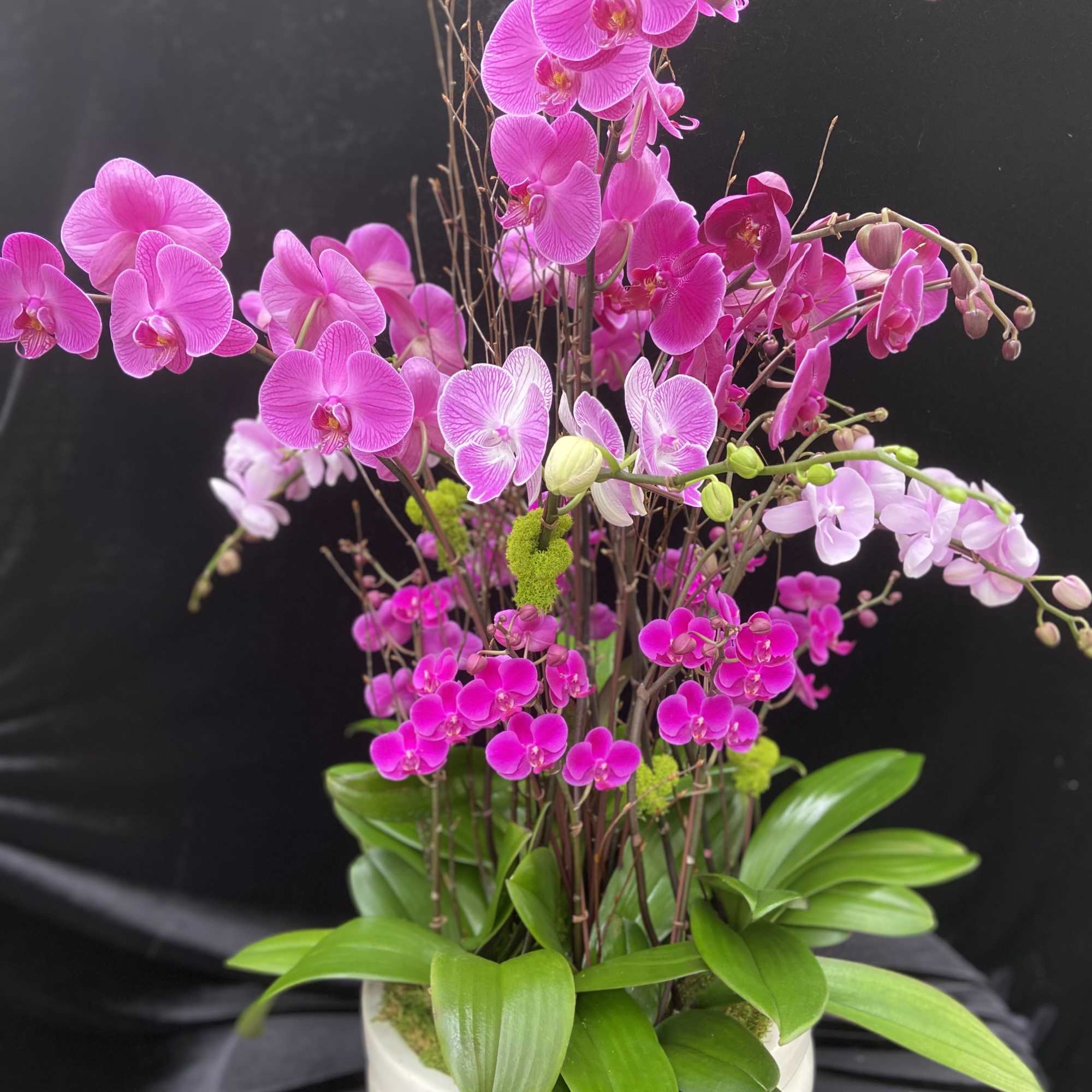 Large mix purple design in round ceramic pot. 