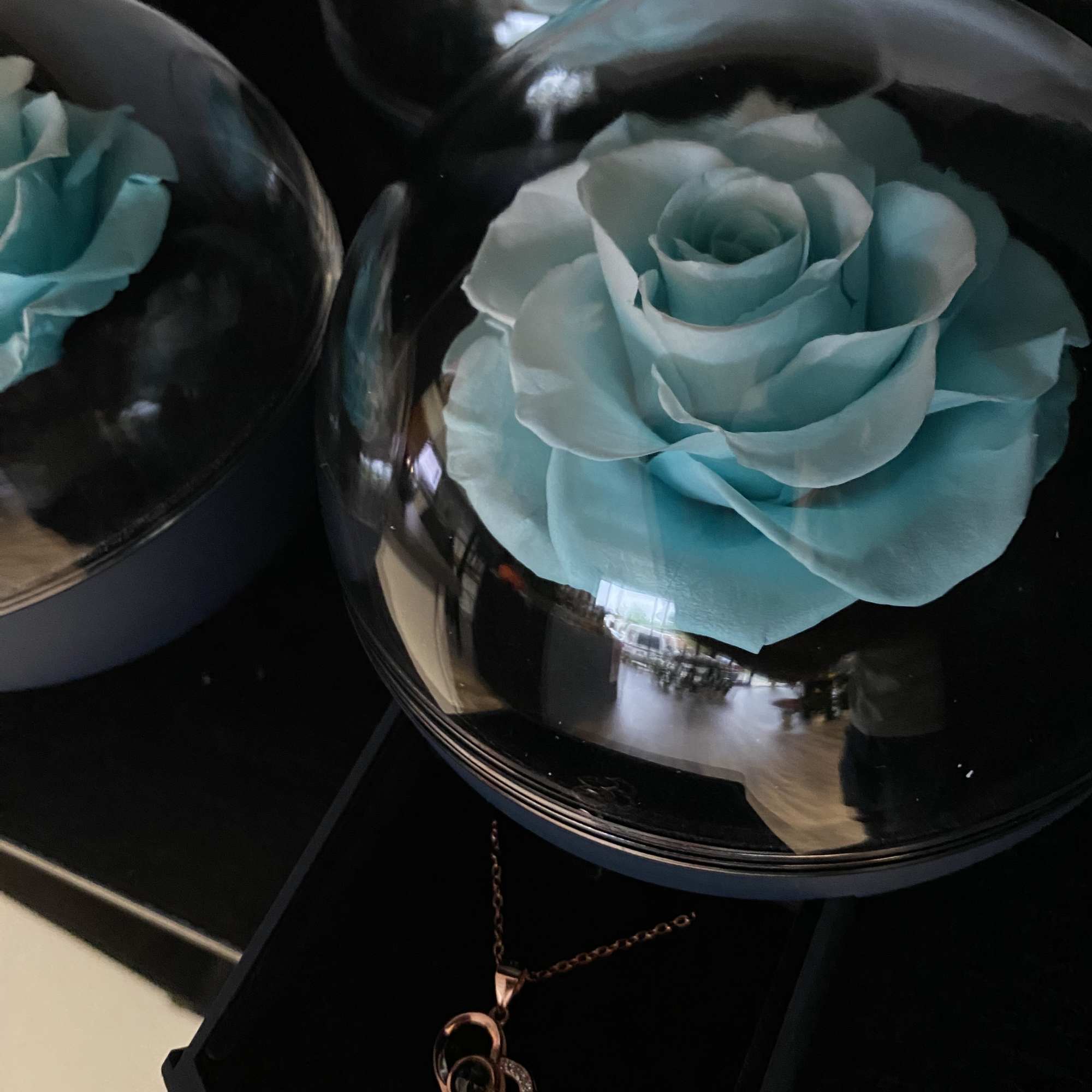 This preserved rose with a rose gold tone necklace is the perfect