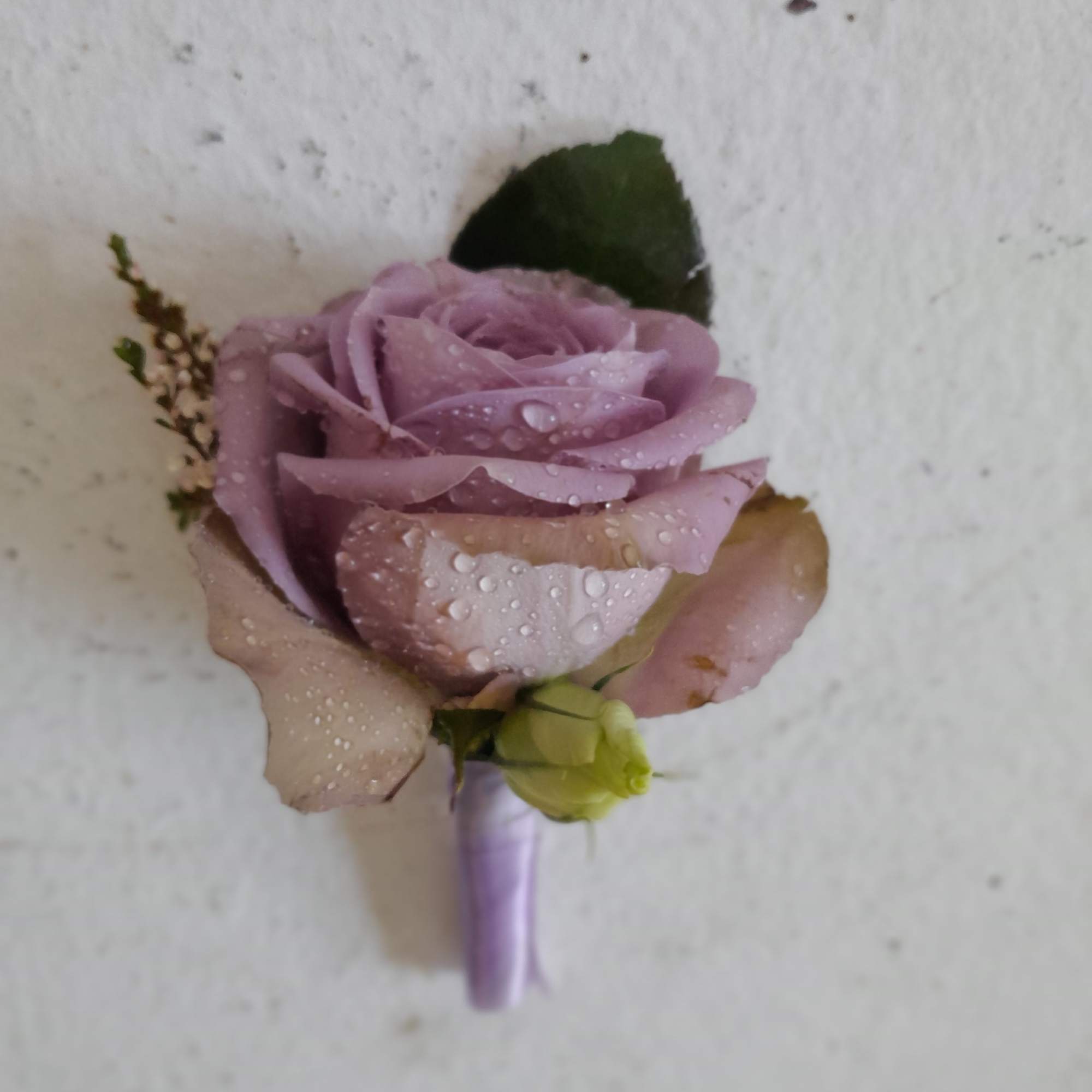 Beautiful boutonnieres for the proms or weddings 