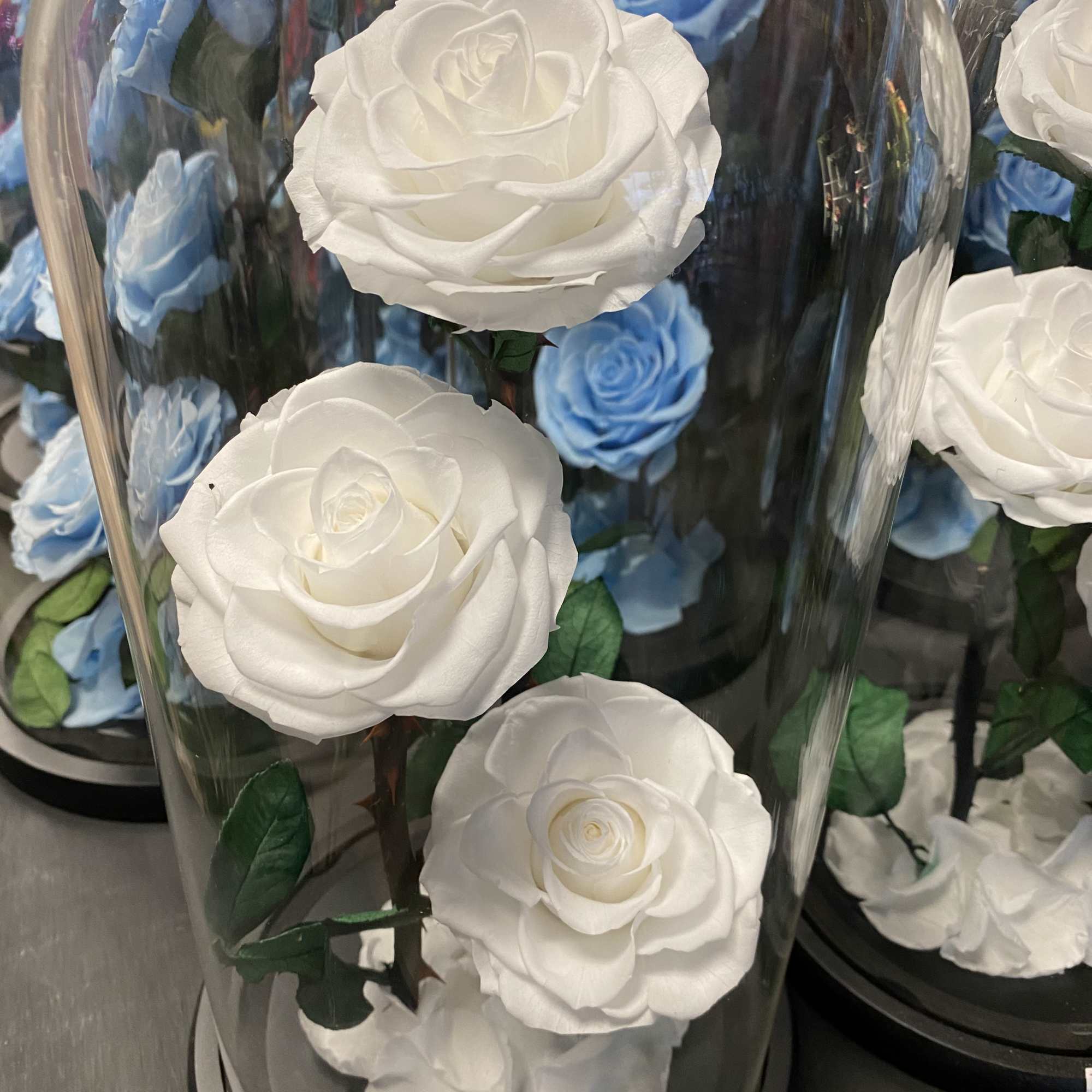 These roses have been preserved to last forever. Great gift for your