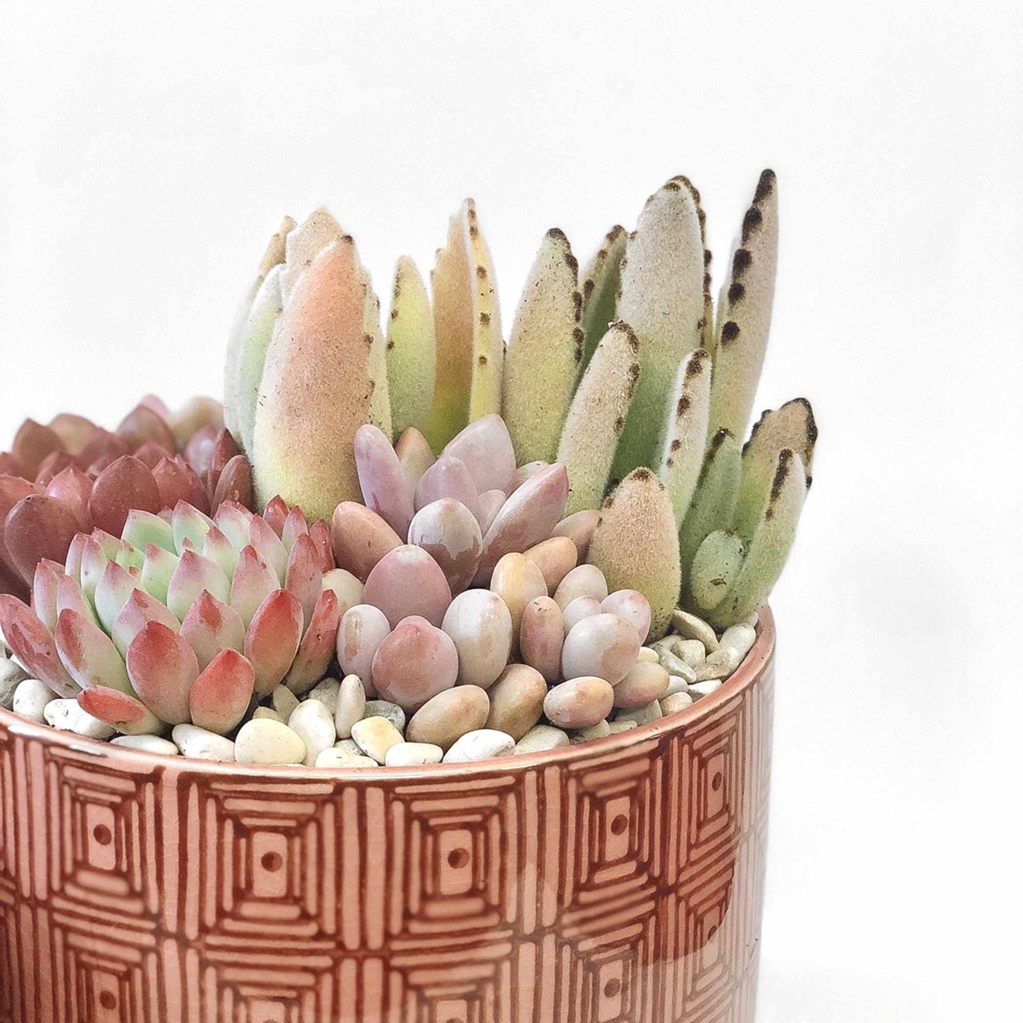 This is a red colored set of pots with a pattern printed This is a red colored set of pots with a pattern printed