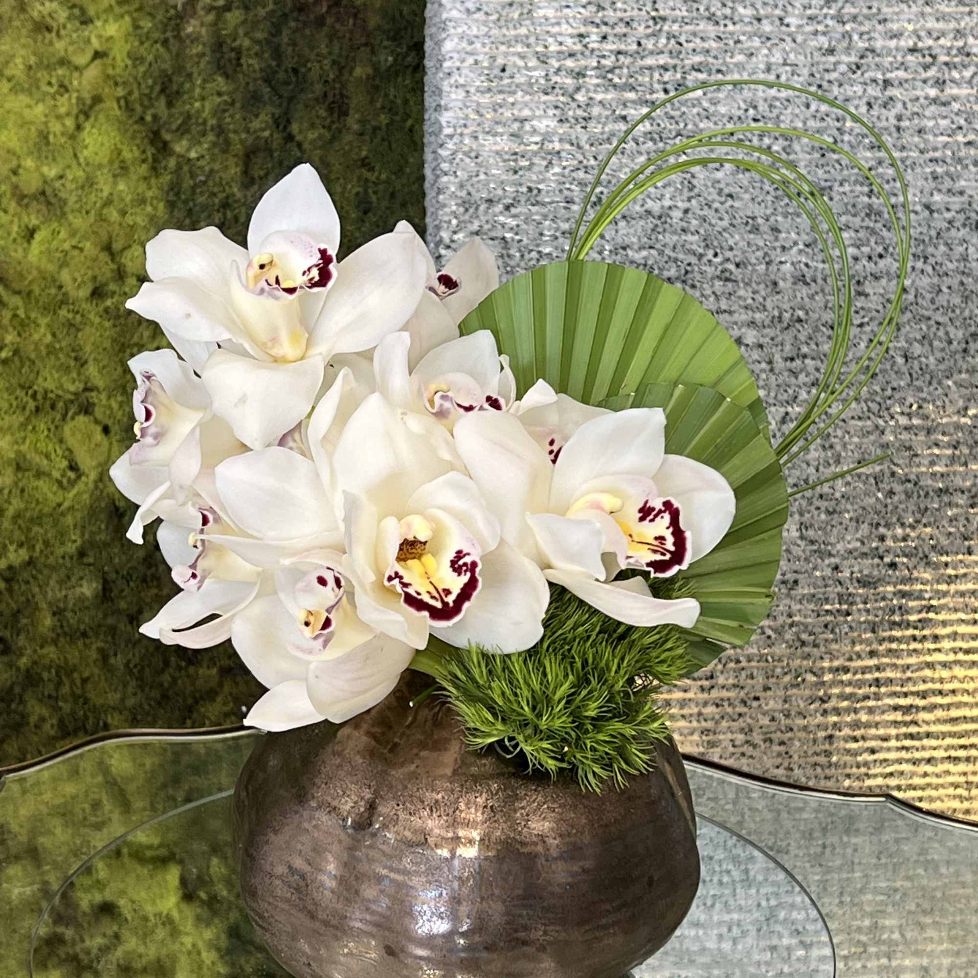 white cimbidium orchids perfect for desk 