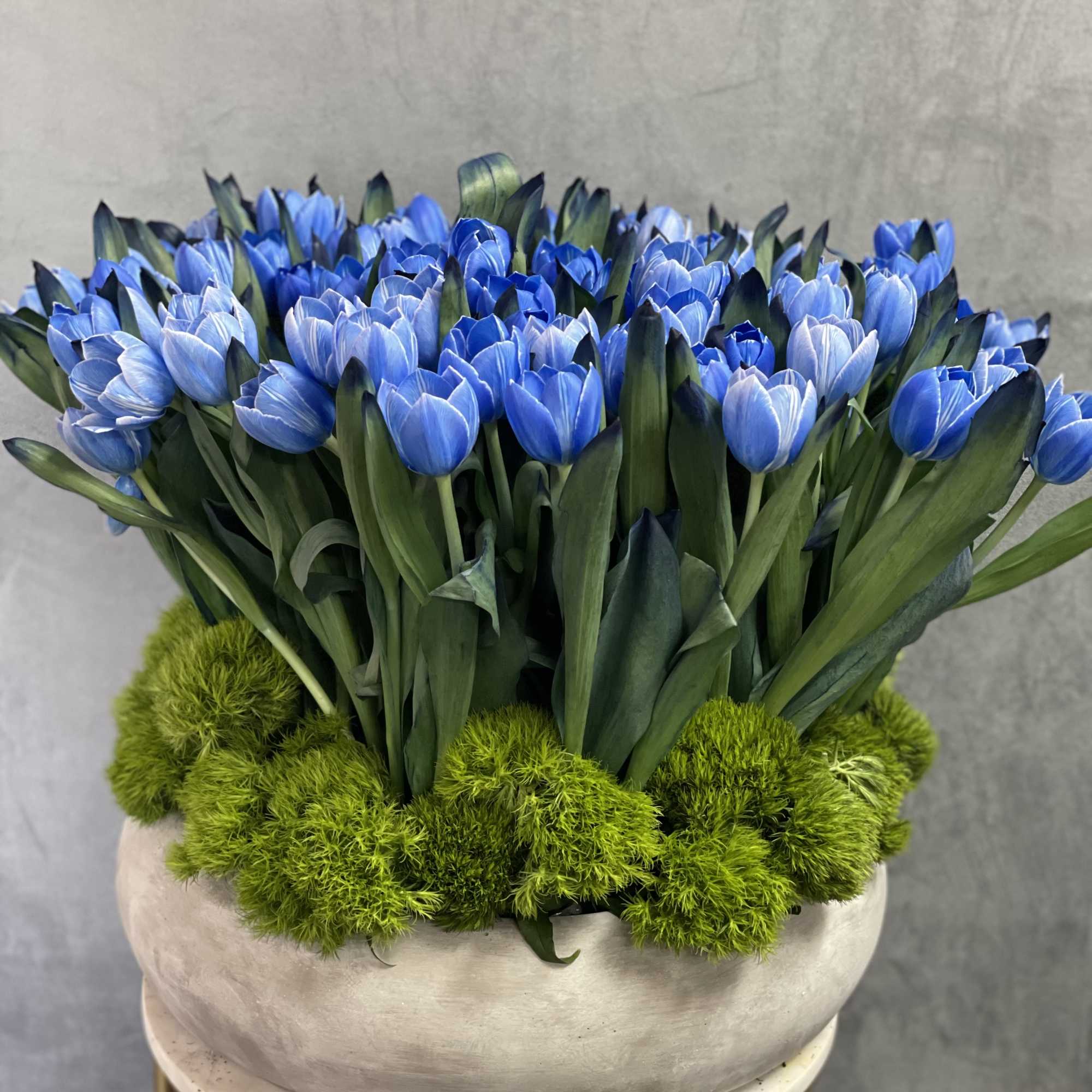 Sophisticated and simple , this all blue arrangement filled of 120 tulips