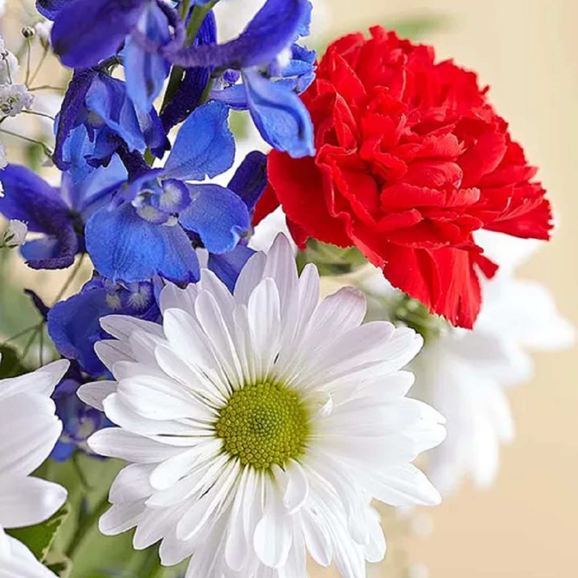 Celebrate American pride with our patriotic bouquet. Highlighted by an iconic yellow