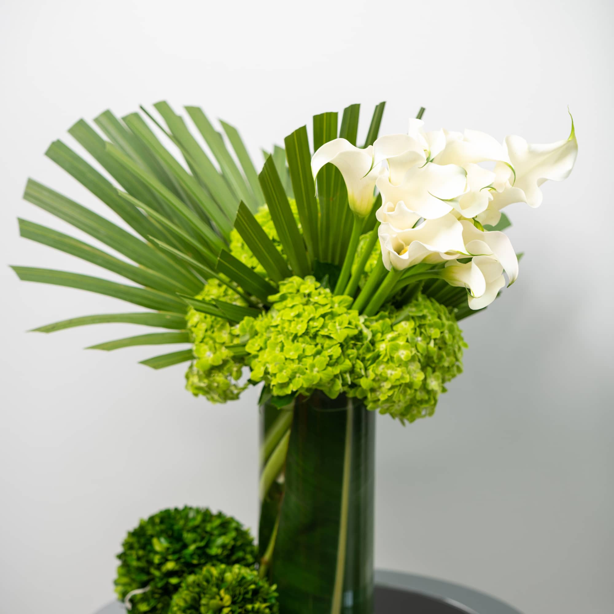 White callas rising from a bed of tropical palm leaves and green White callas rising from a bed of tropical palm leaves and green