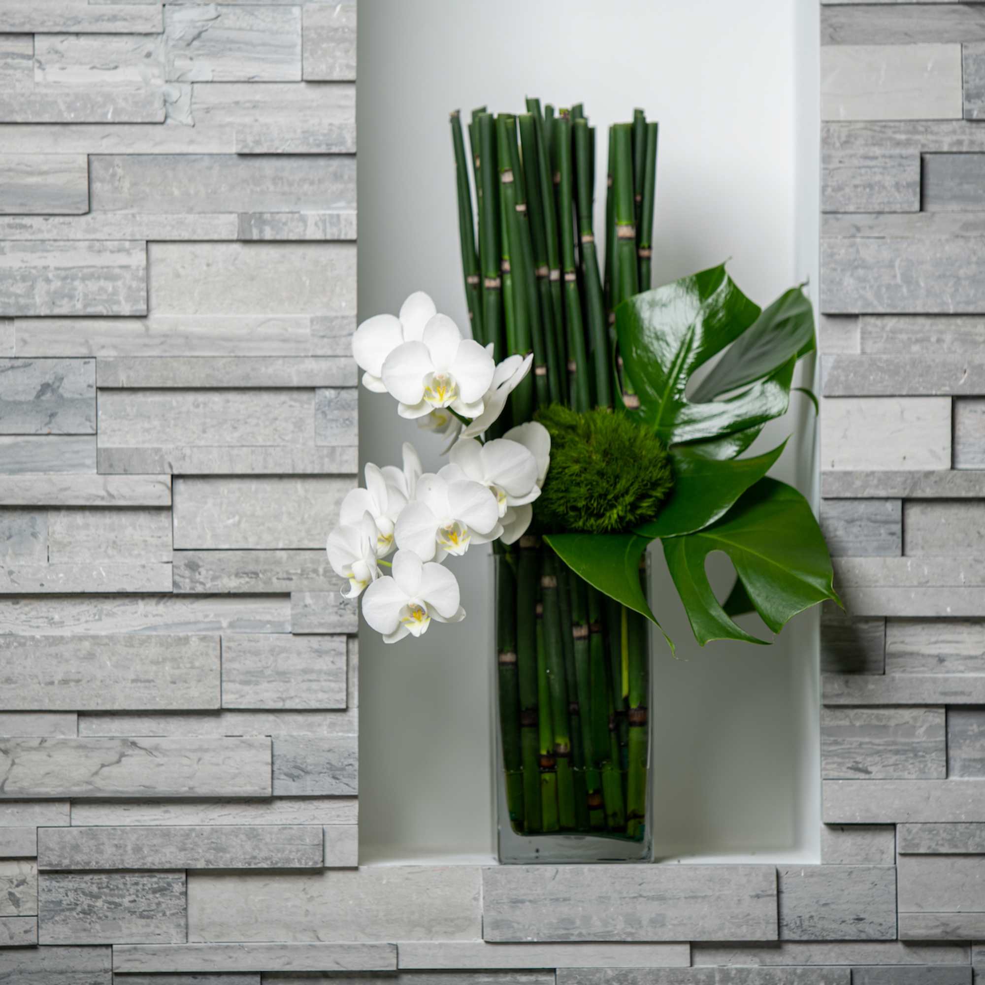 Graceful orchids cascade from a mass of horsetail bamboo Graceful orchids cascade from a mass of horsetail bamboo