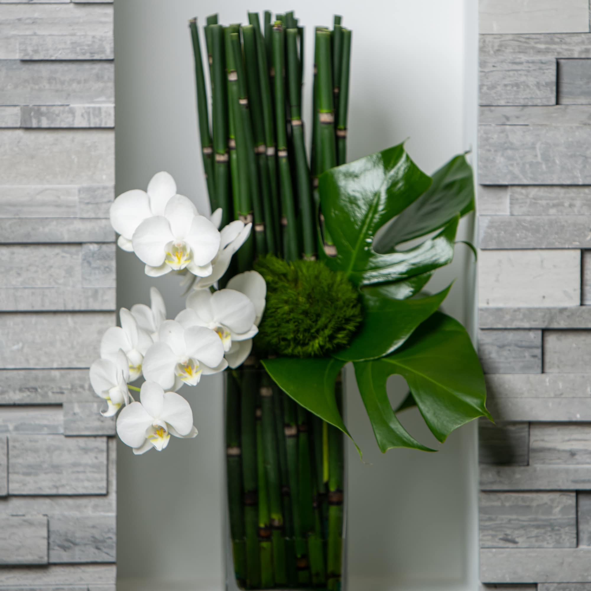 Graceful orchids cascade from a mass of horsetail bamboo Graceful orchids cascade from a mass of horsetail bamboo