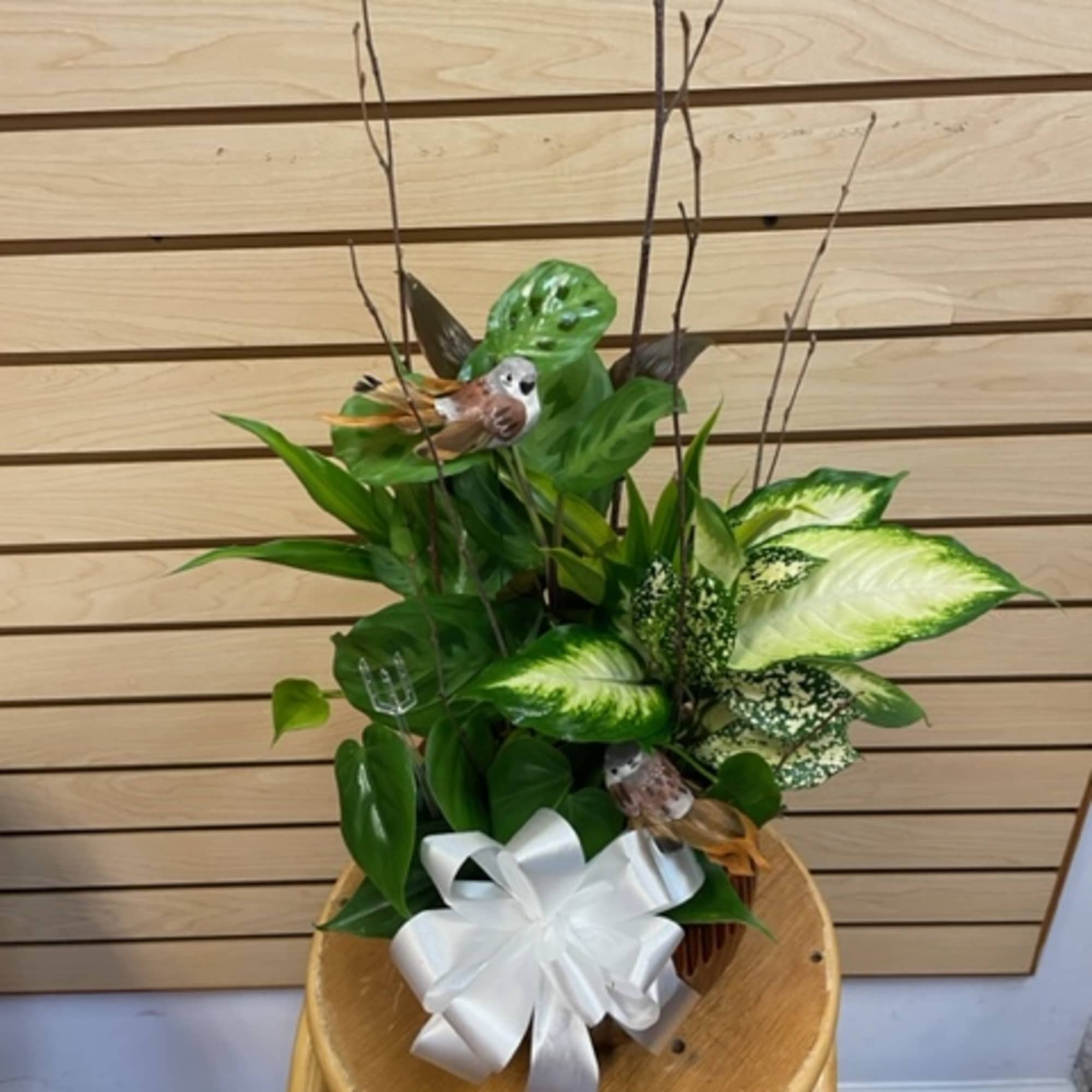 Dish Garden accent with bird

In some instances, the florists&rsquo; photo may represent