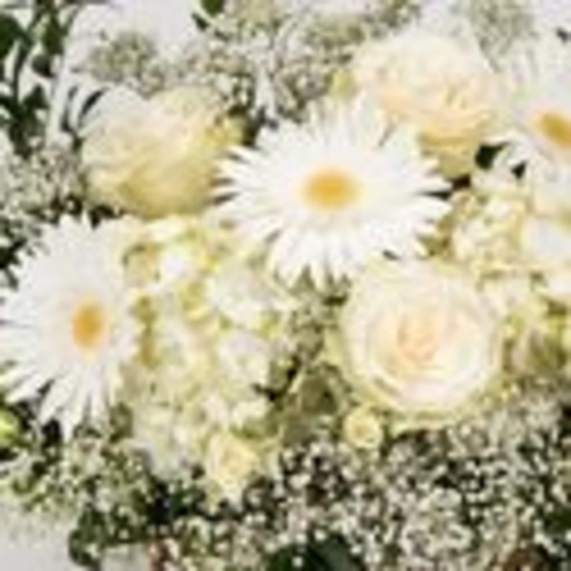 Show your love with this beautiful basket of mini gerberas and mondial