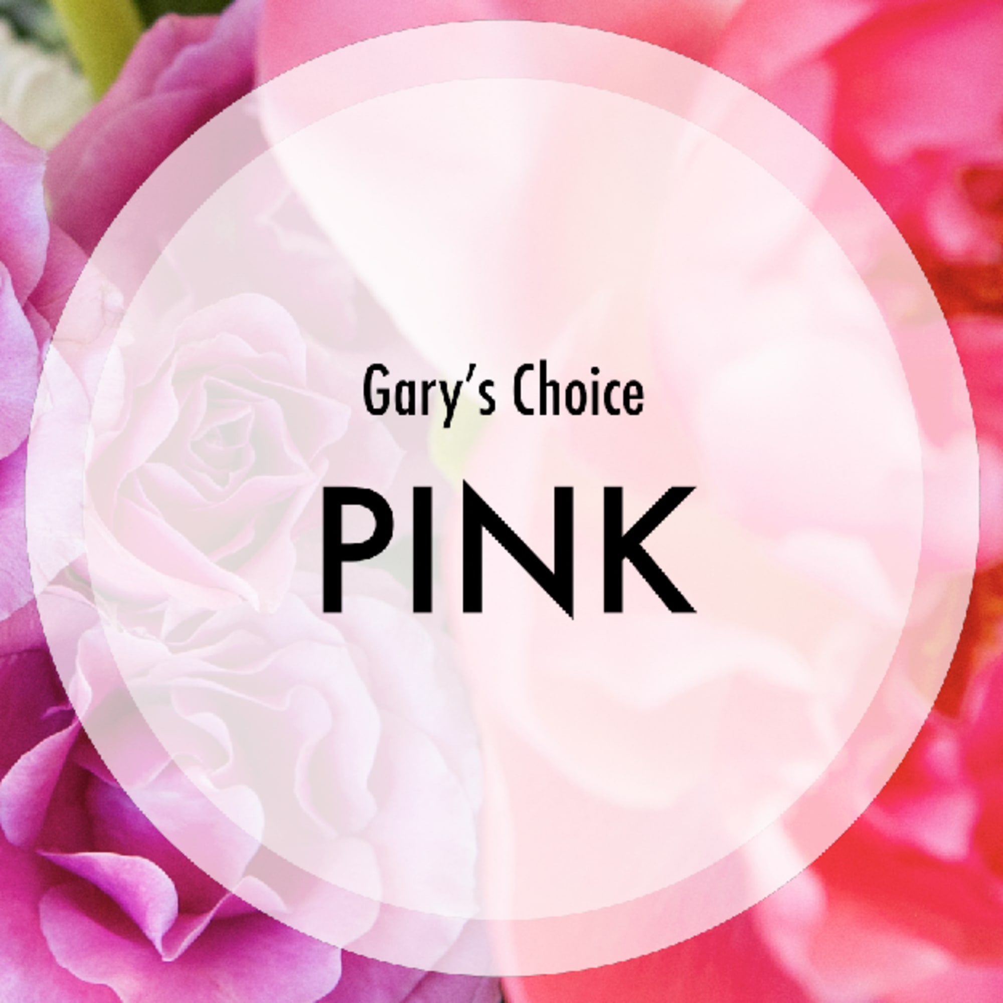 Designer&#039;s Choice Pink