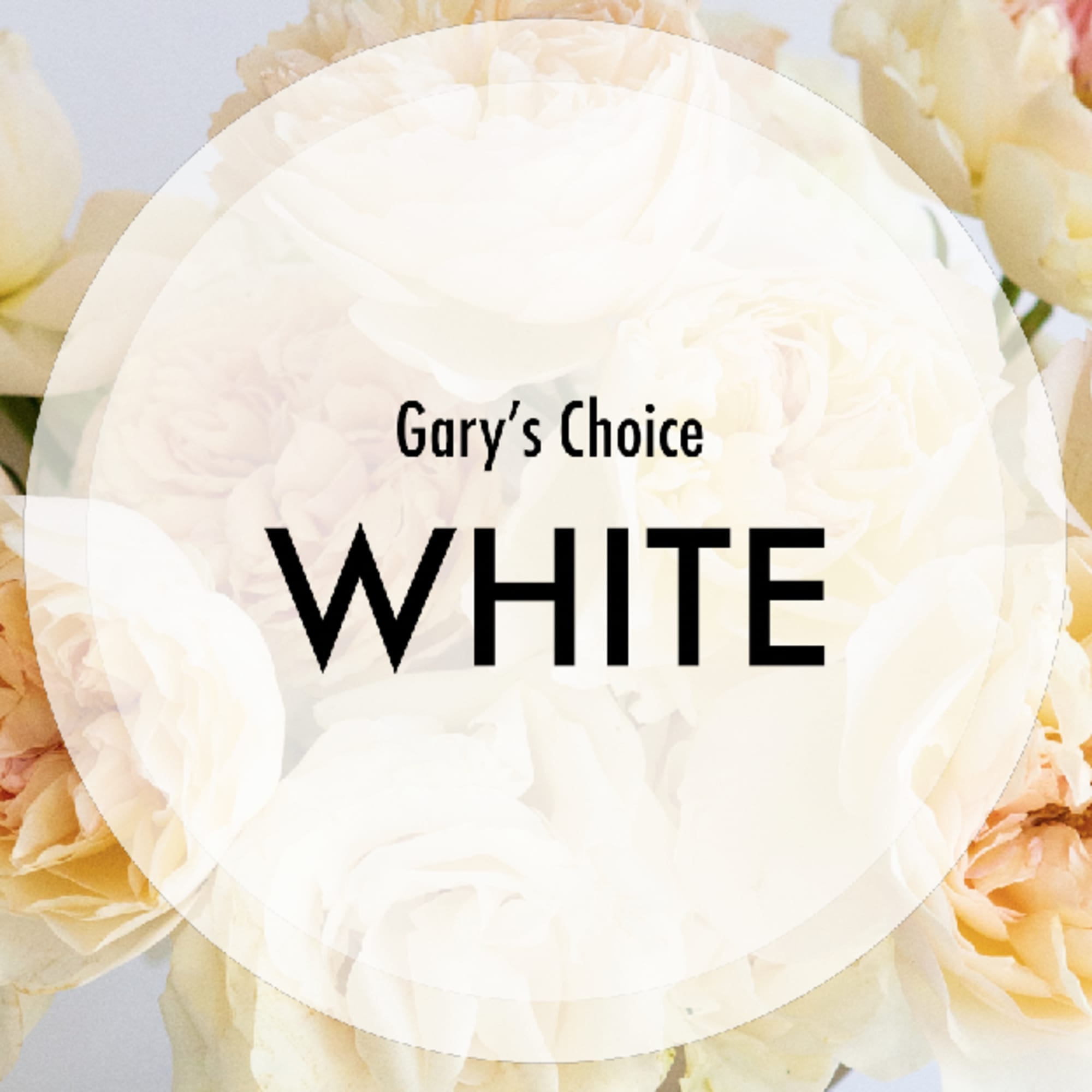 Designer&#039;s Choice White