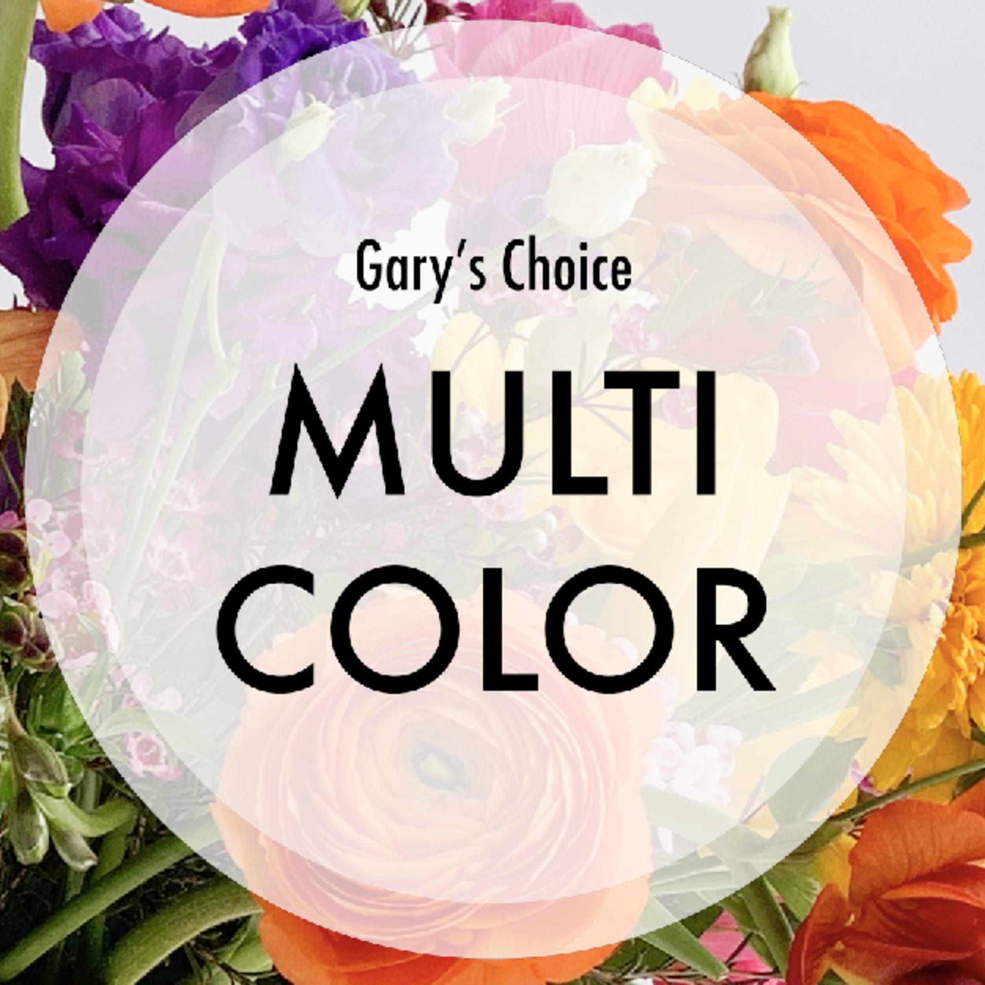 Designer&#039;s Choice Multicolor