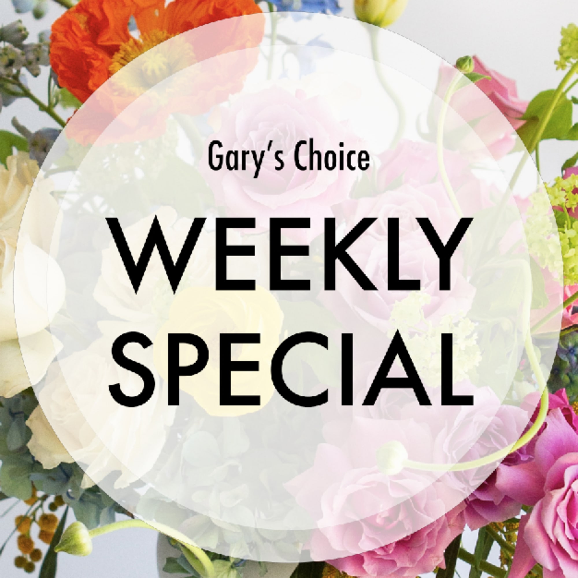 Designer&#039;s Choice Weekly Special