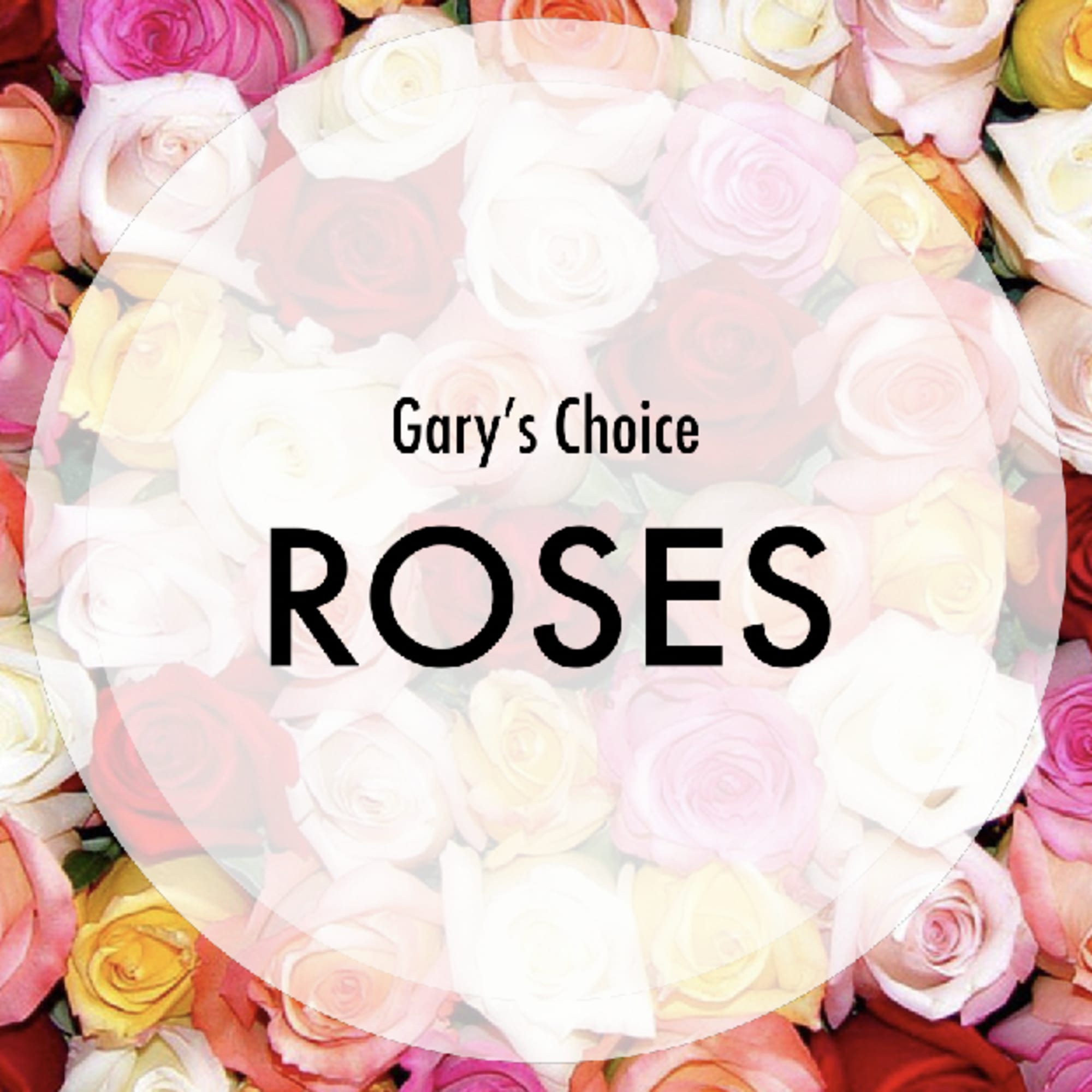 Designer&#039;s Choice Roses