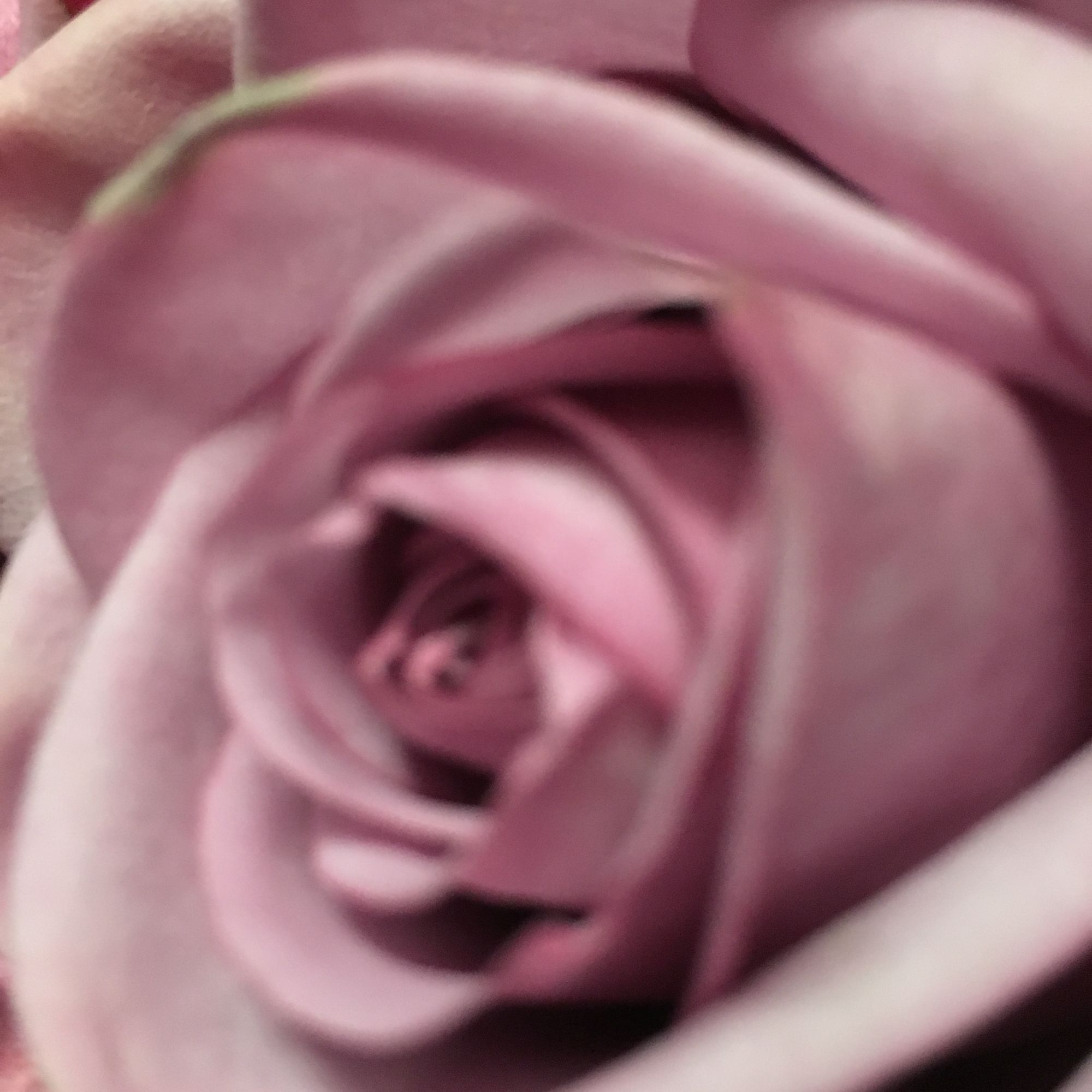 Our designers pride themselves on personal, customized floral designs, let us create