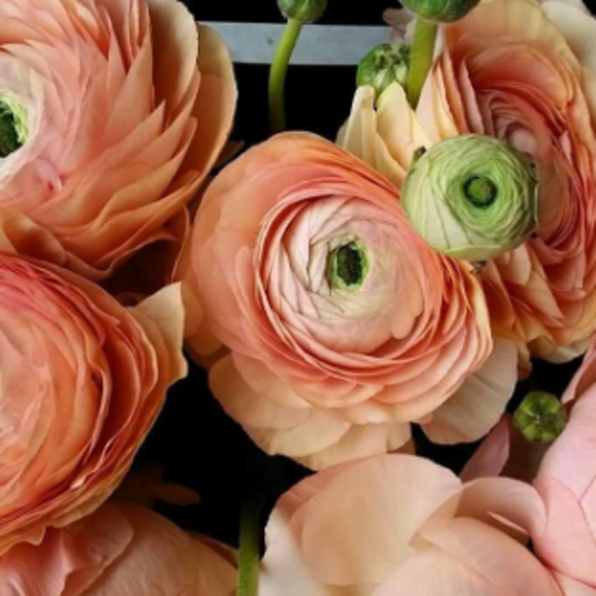 At Ophelia&#039;s, we pride ourselves on using as much locally grown and