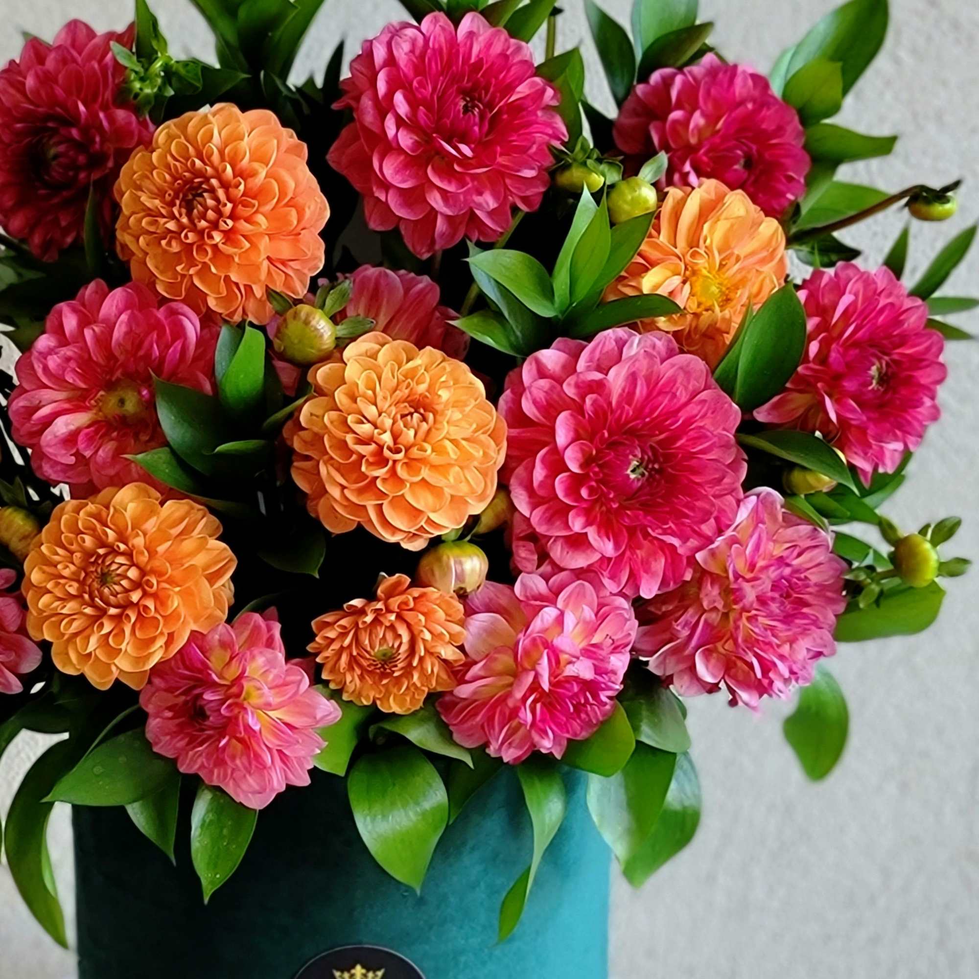 The composition made up of dahlias will definitely appeal to connoisseurs of