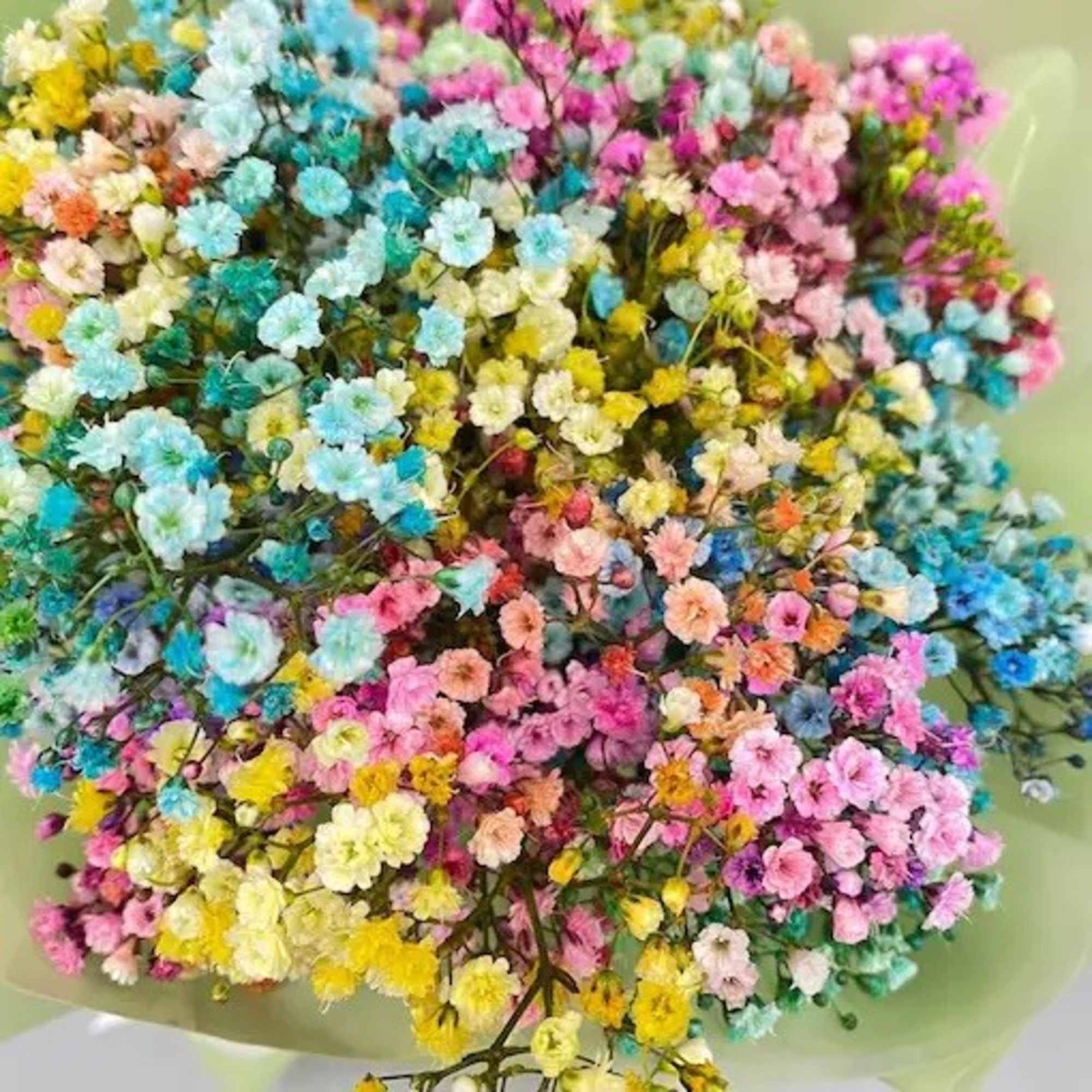 This Sweet and romantic Gypsophila Bouquet is the perfect gift for a