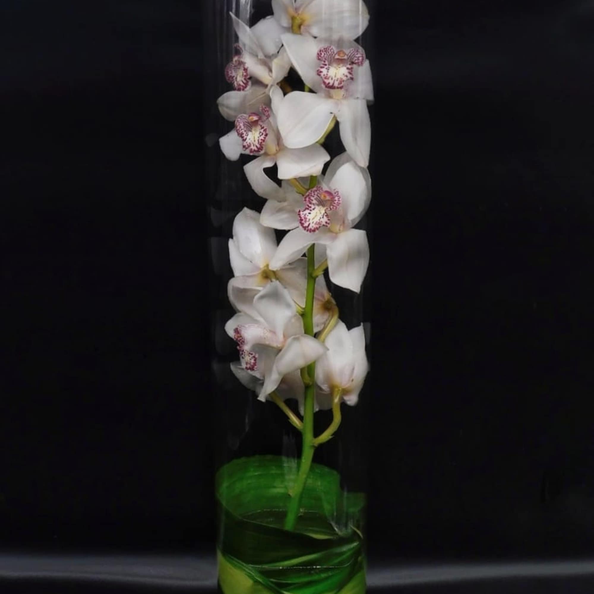 The bouquet pictured reflects our original design for this product. While we