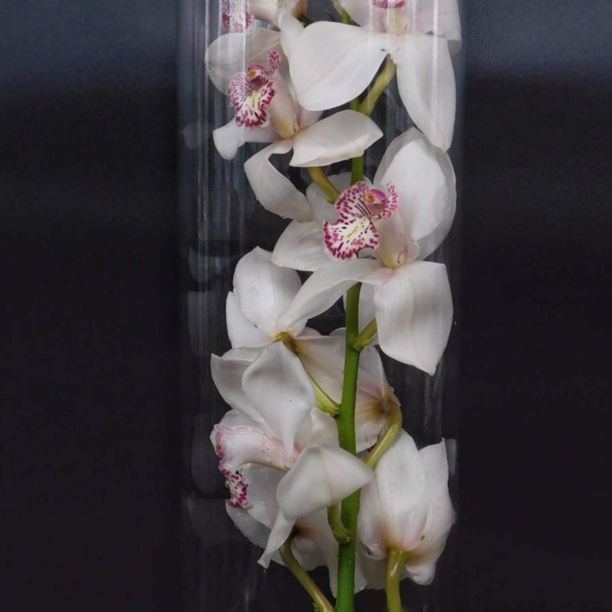 The bouquet pictured reflects our original design for this product. While we