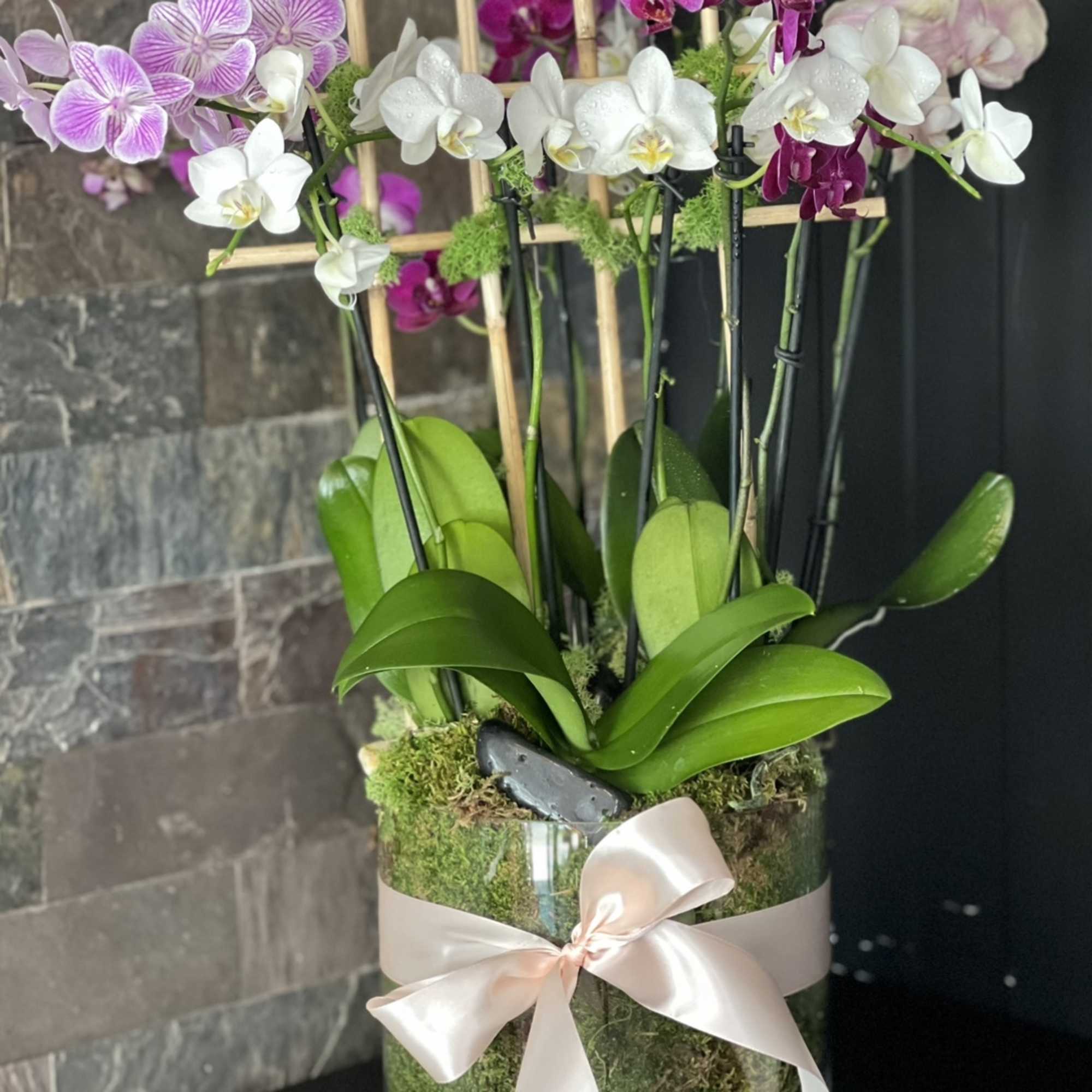 Includes 7 Mini Orchids in a Clear Vase