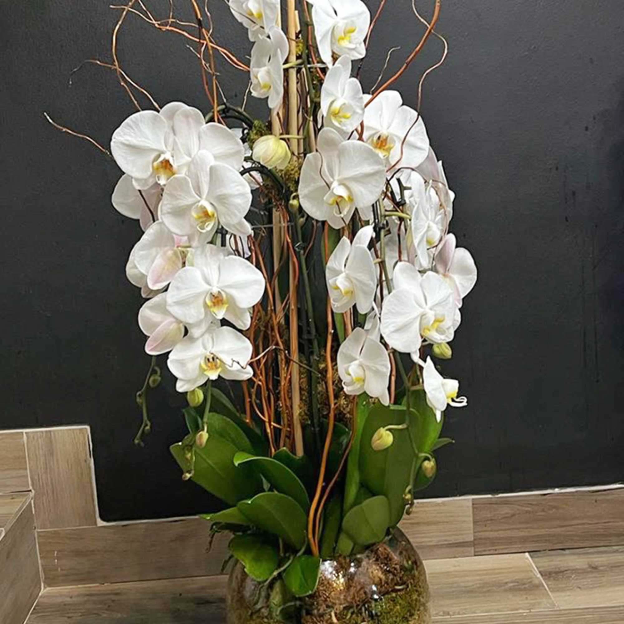 Orchids in  Fish Bowl