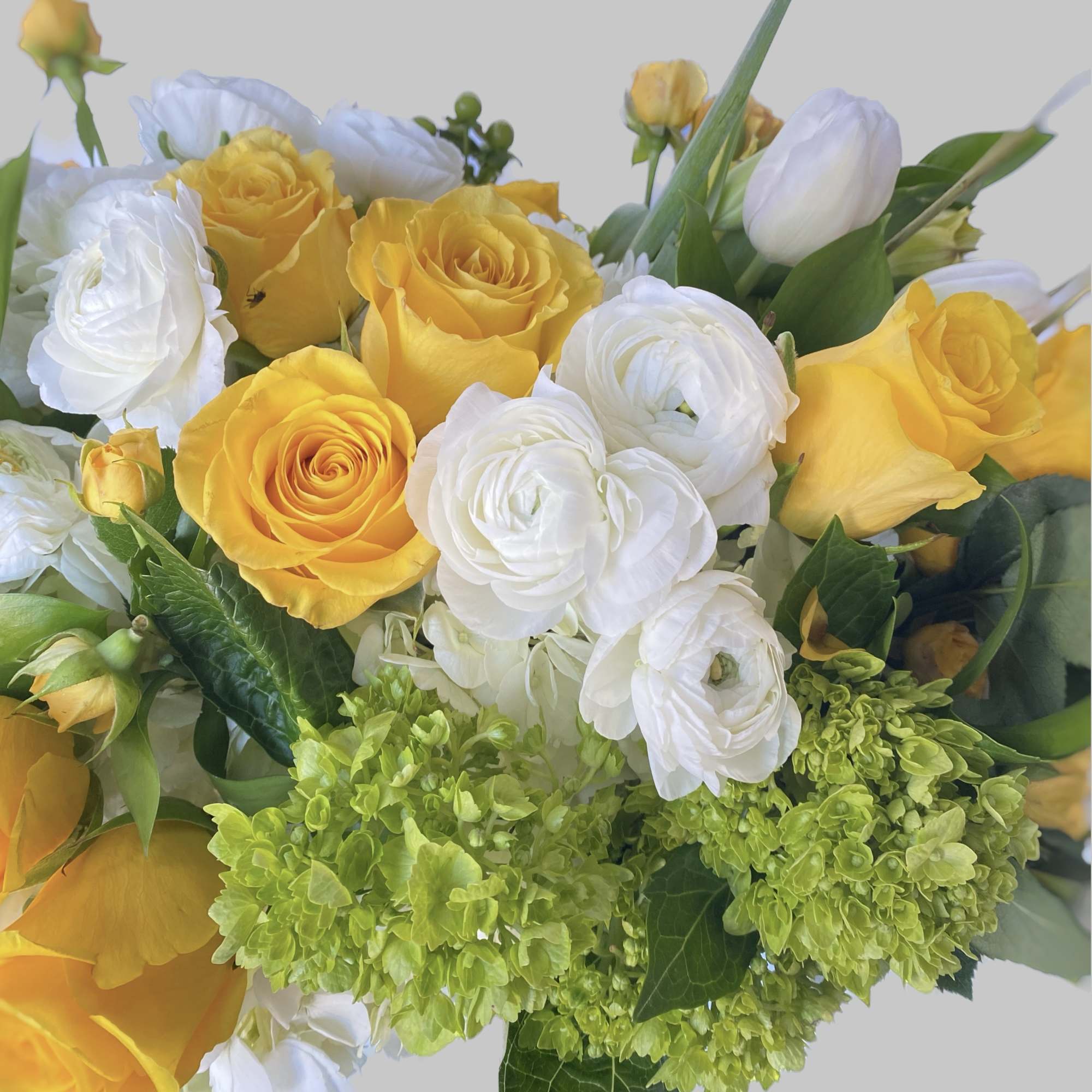 This lush arrangement has yellow roses, yellow spray roses, green hydrangeas, Billy