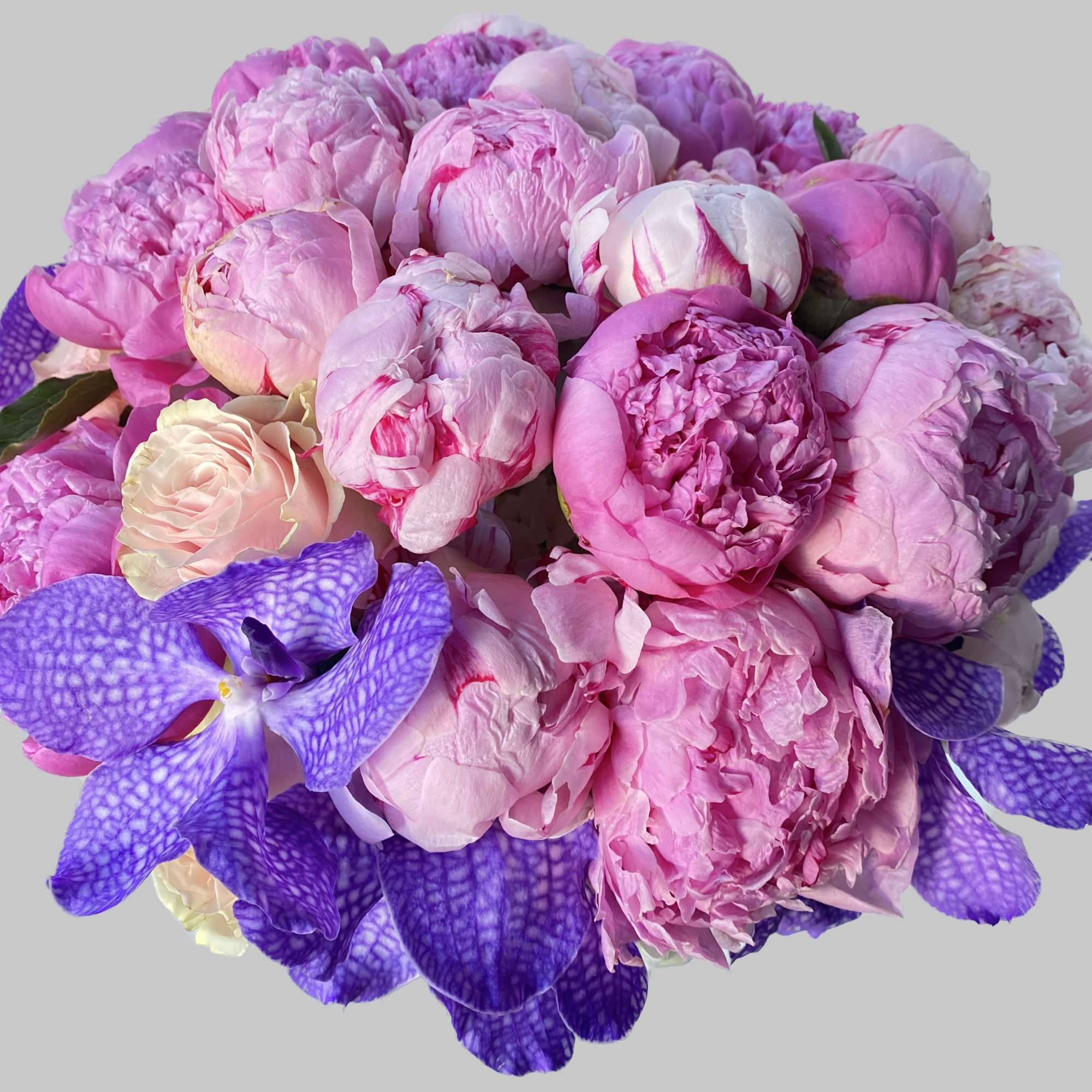 This bouquet includes soft-toned gorgeous pink peonies and purple vanda in a
